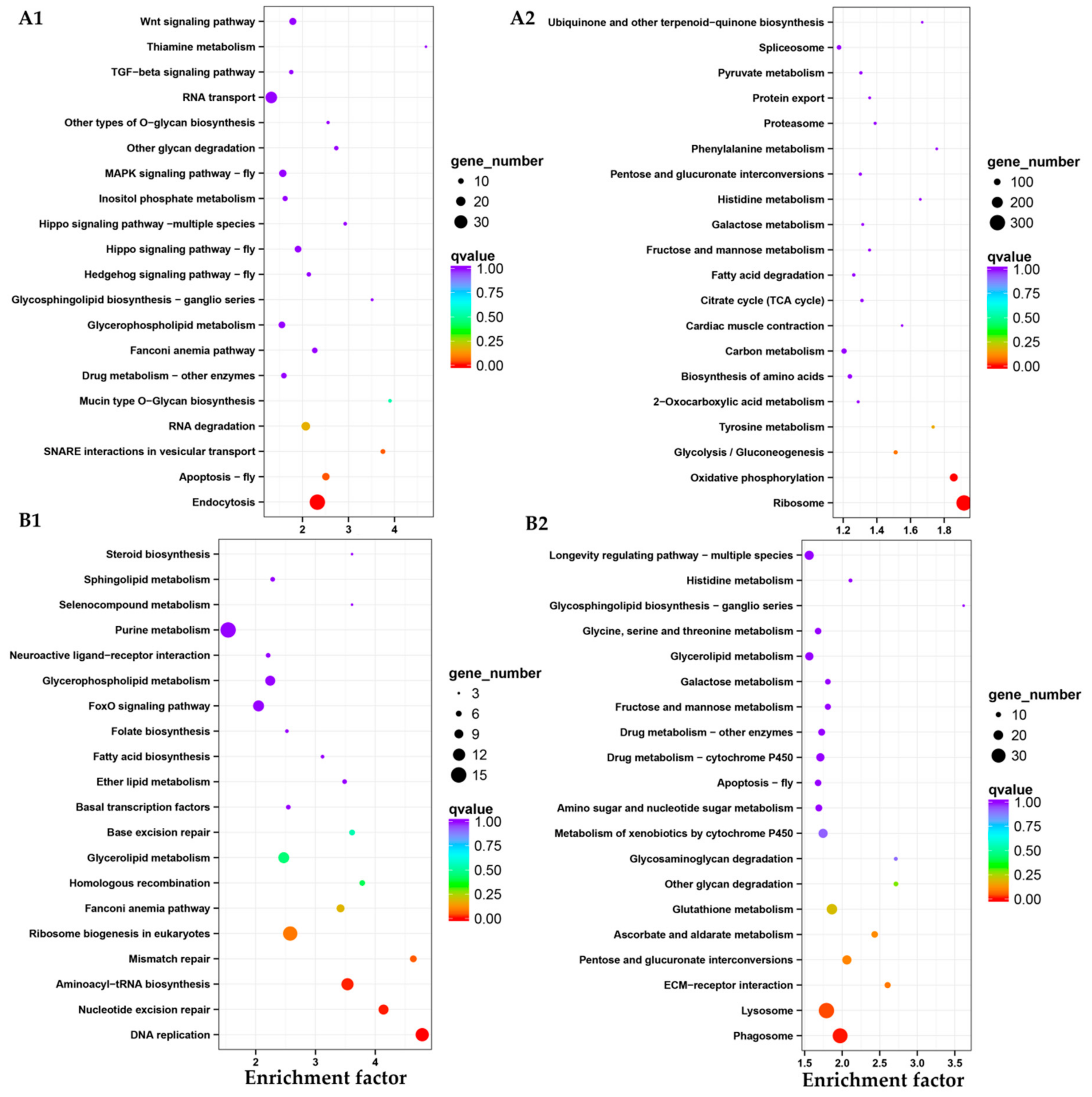 Insects 10 00442 g008