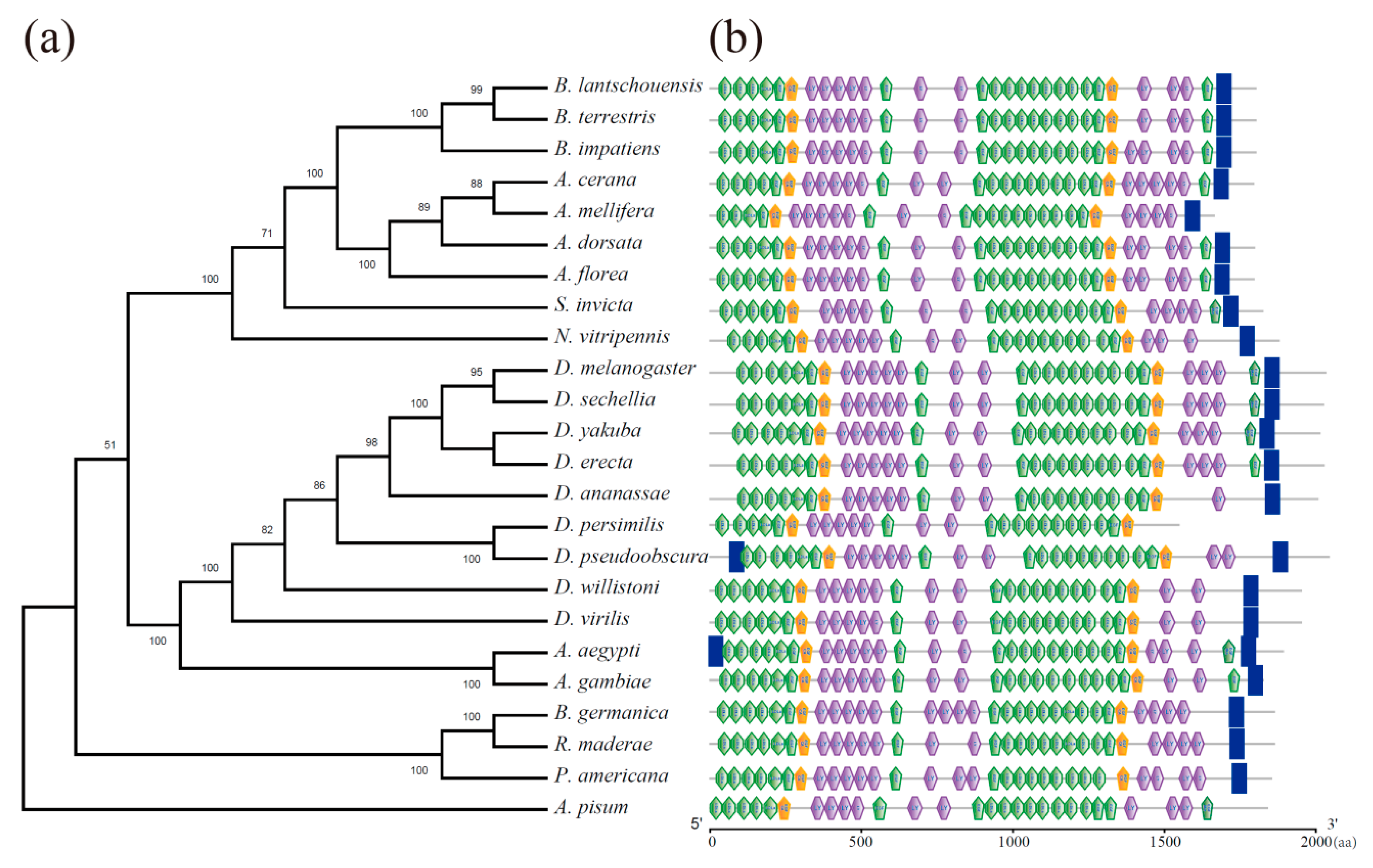 Insects 10 00445 g002