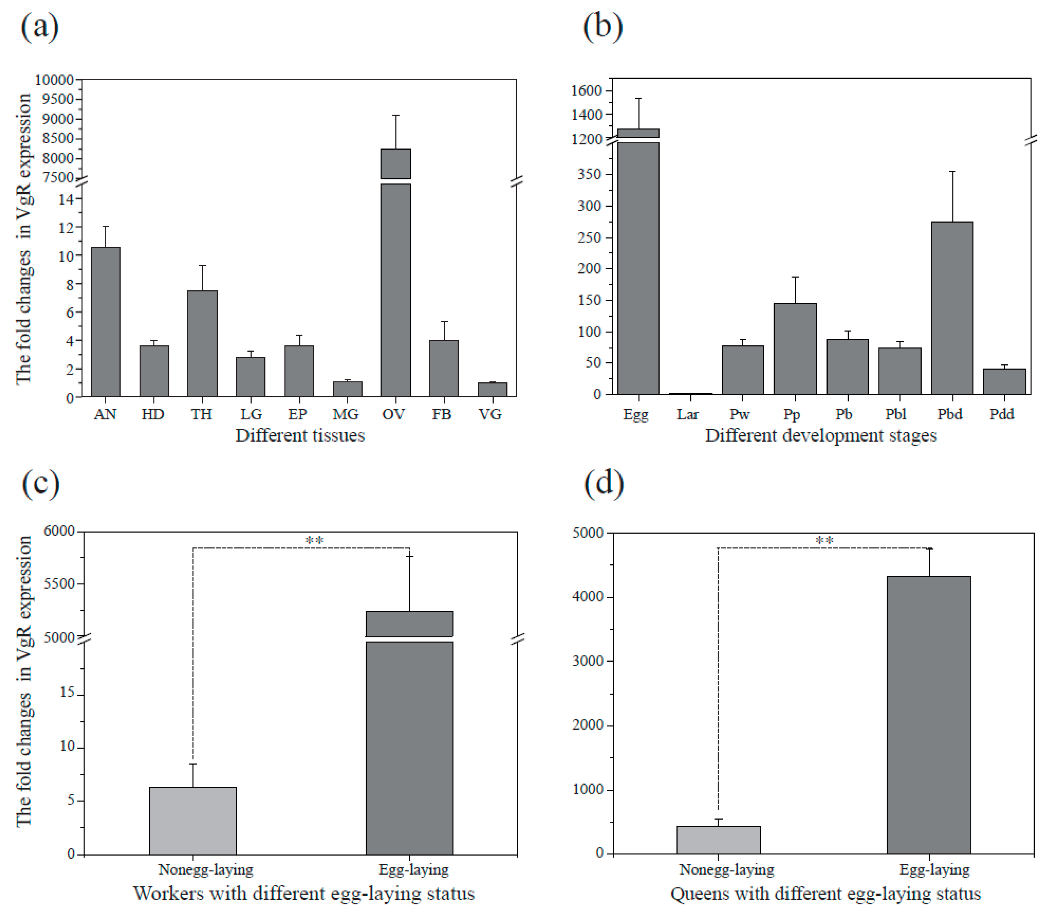 Insects 10 00445 g003