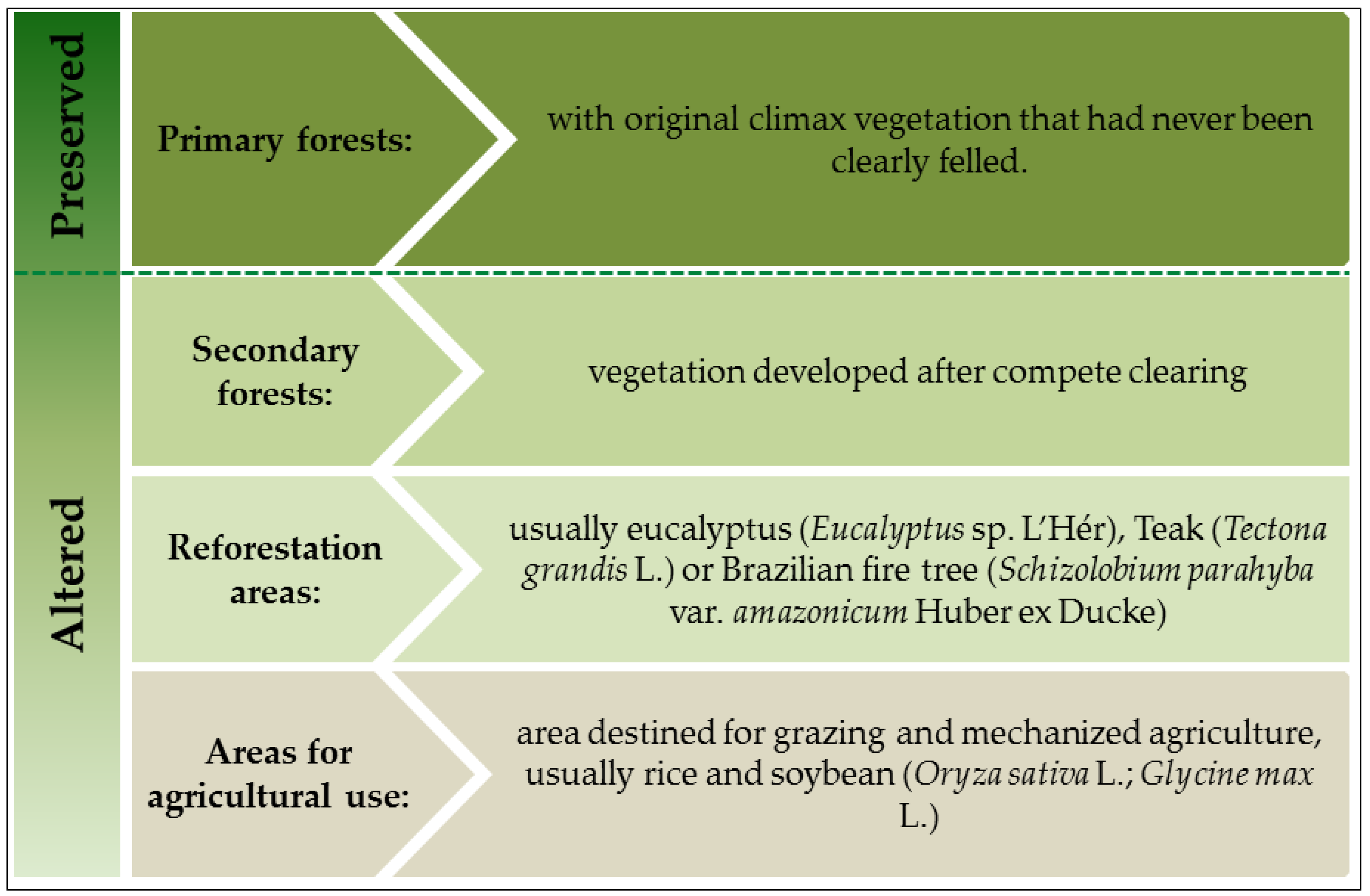 Insects 10 00446 g002