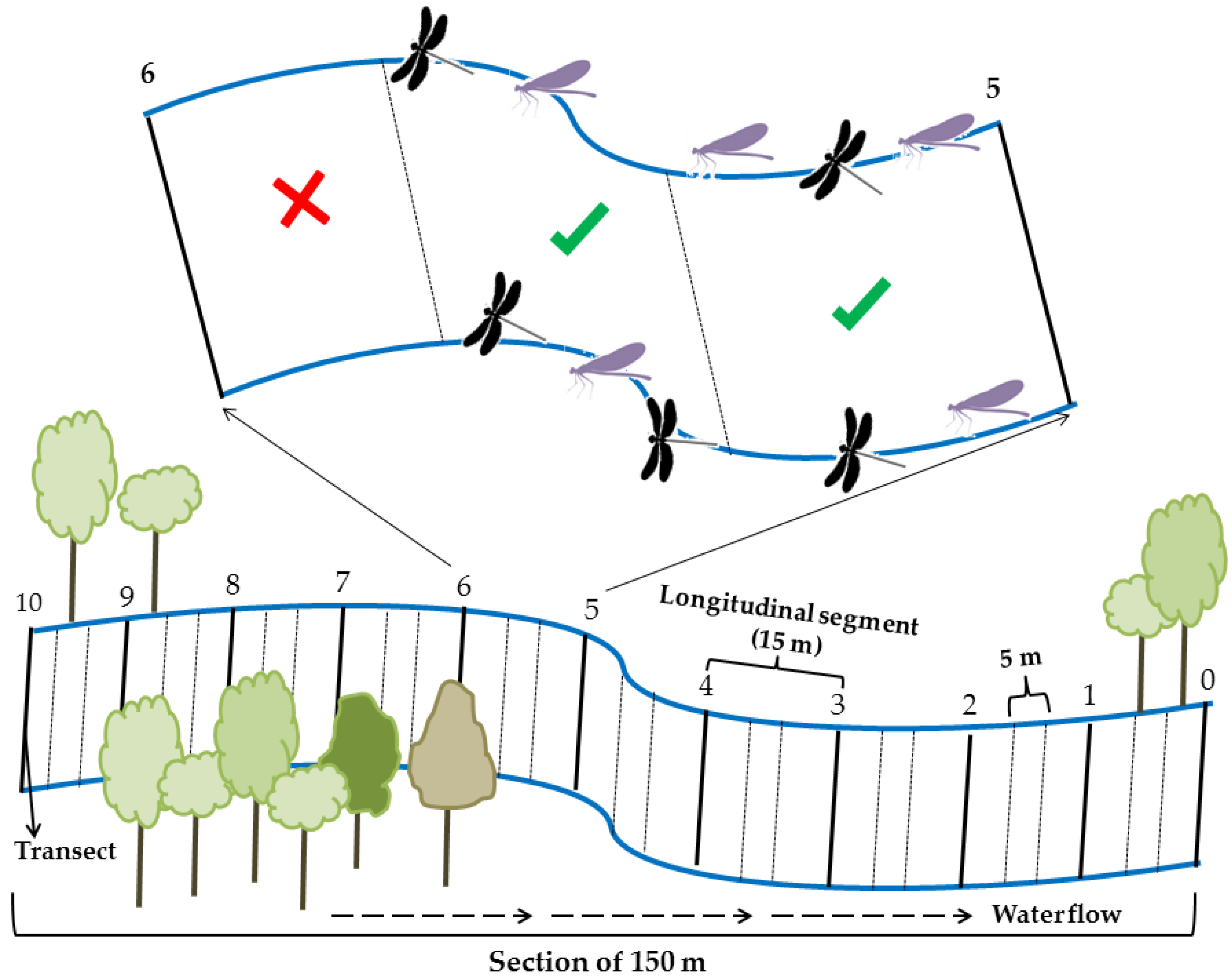 Insects 10 00446 g003
