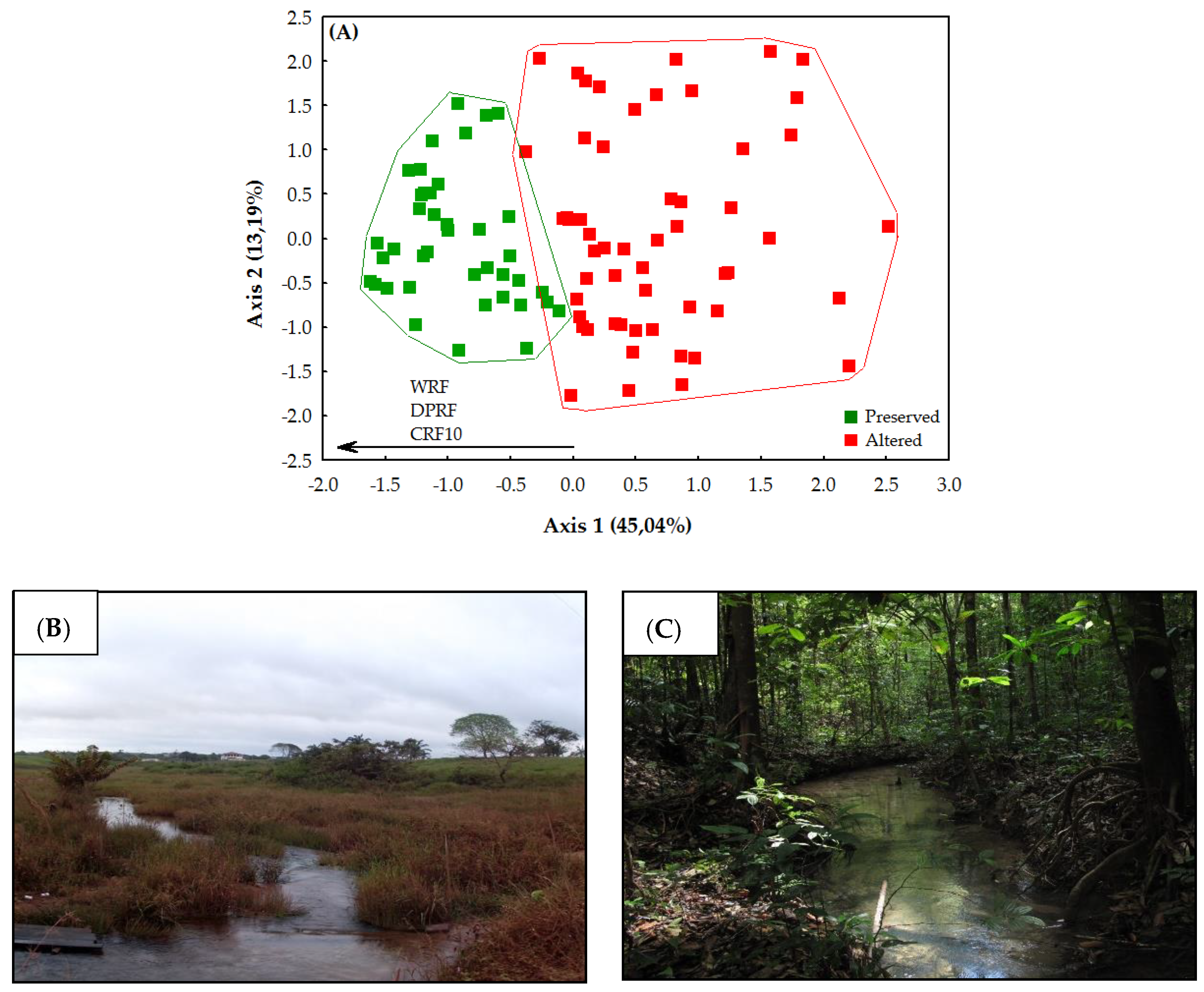 Insects 10 00446 g004