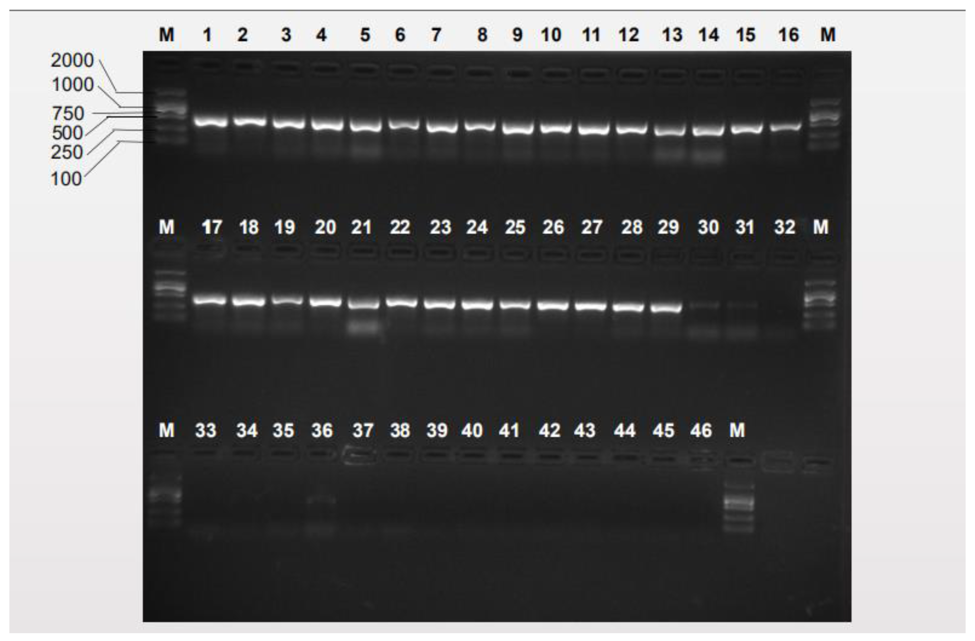 Insects 10 00447 g002 Insects 10 00447 g002