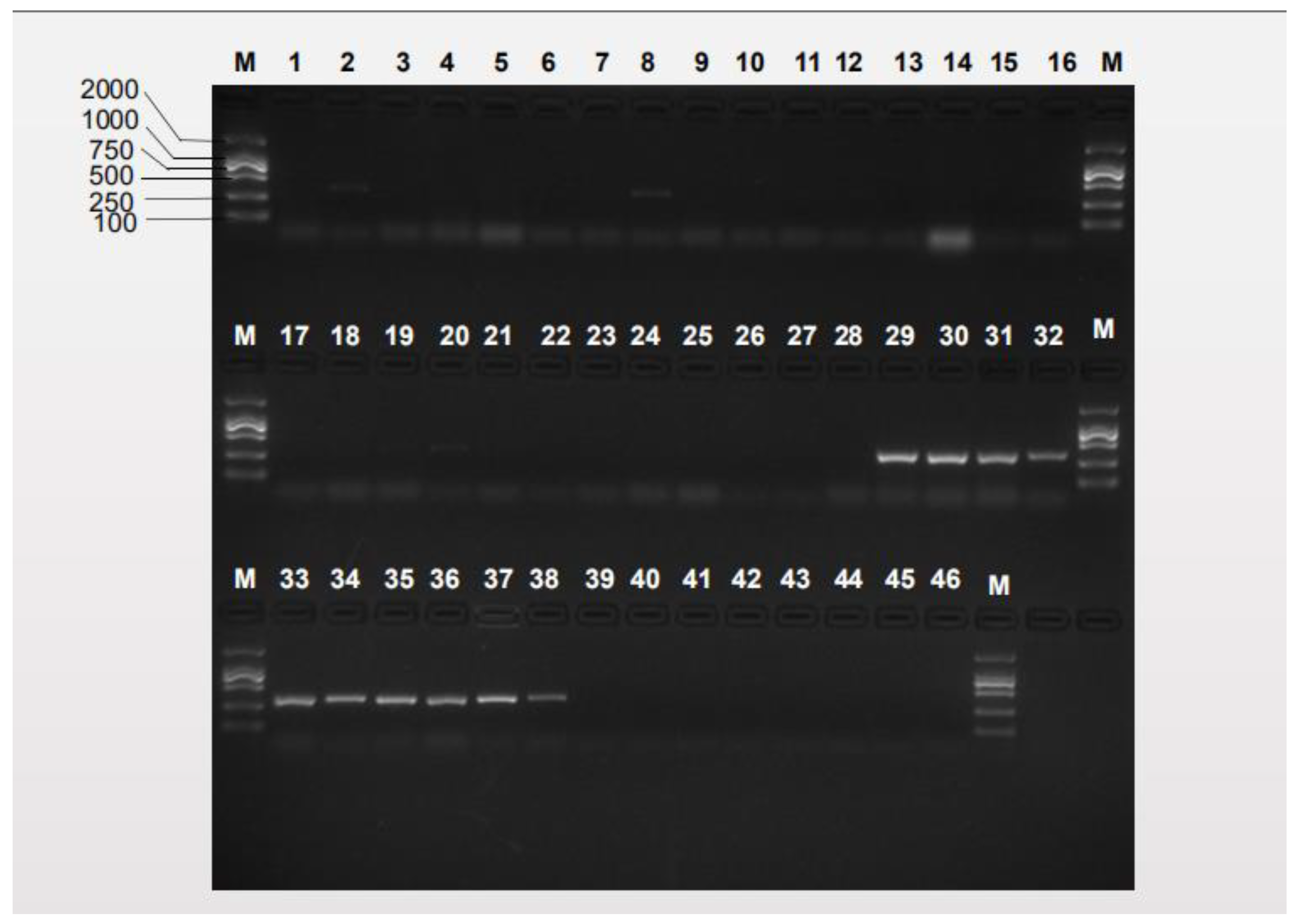 Insects 10 00447 g003 Insects 10 00447 g003
