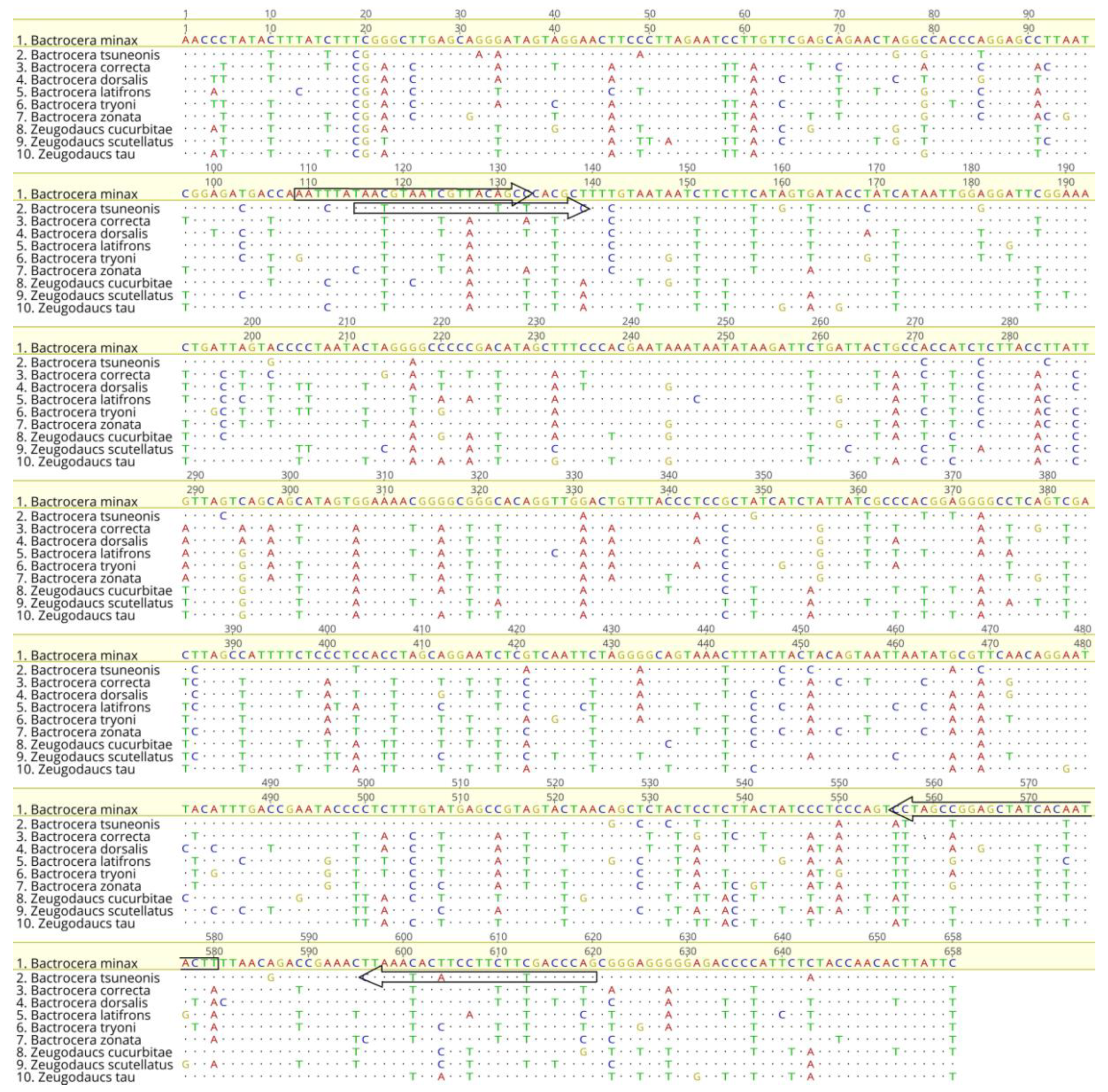 Insects 10 00447 g004 Insects 10 00447 g004