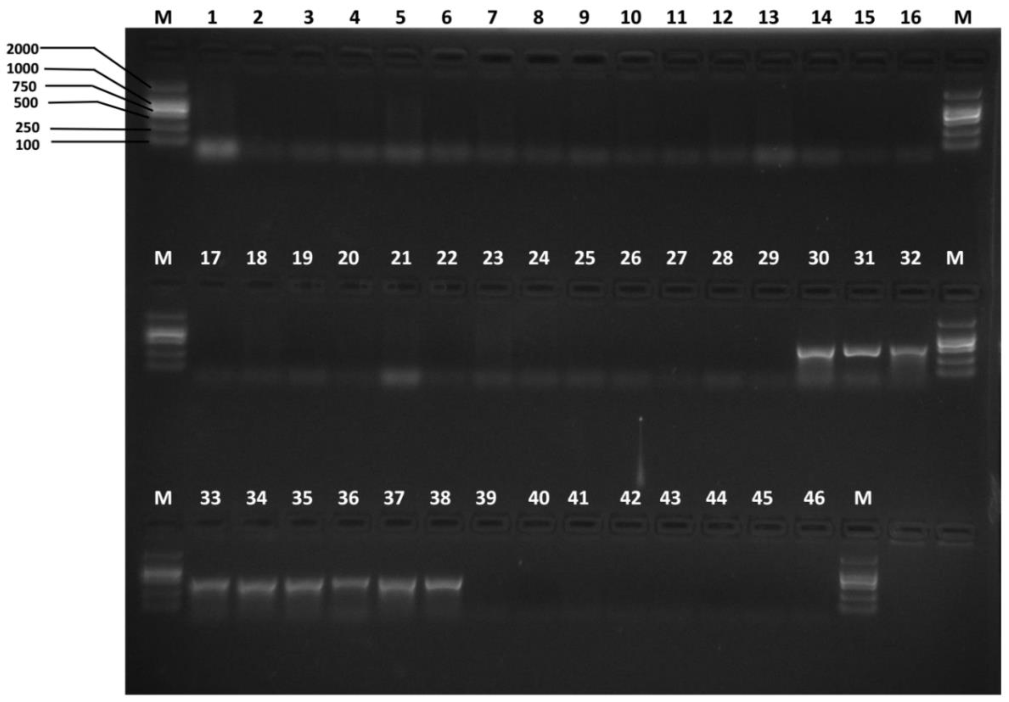 Insects 10 00447 g006 Insects 10 00447 g006