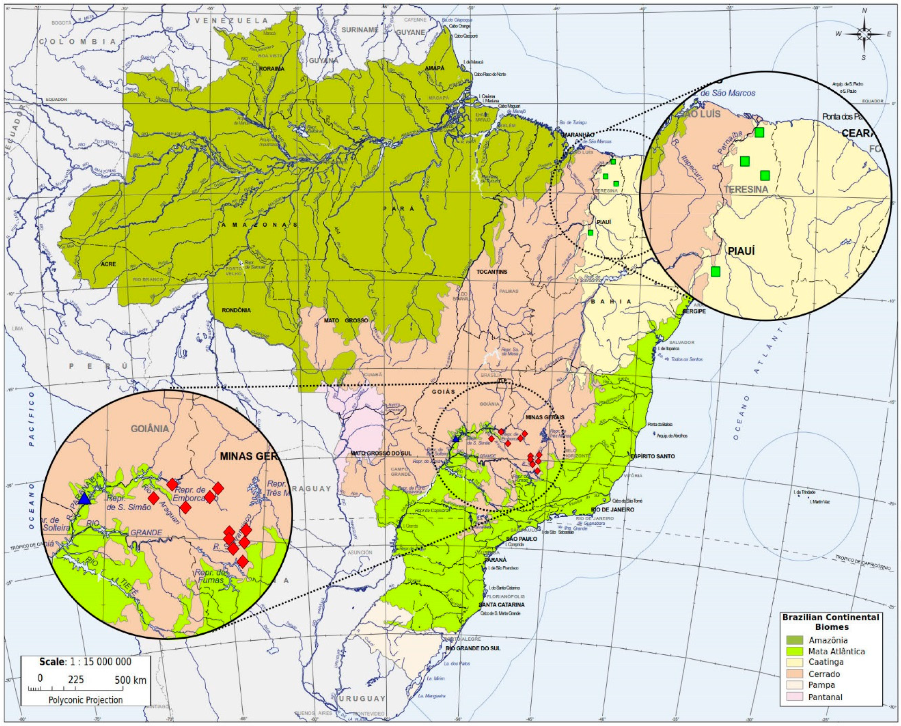 Insects 10 00450 g001