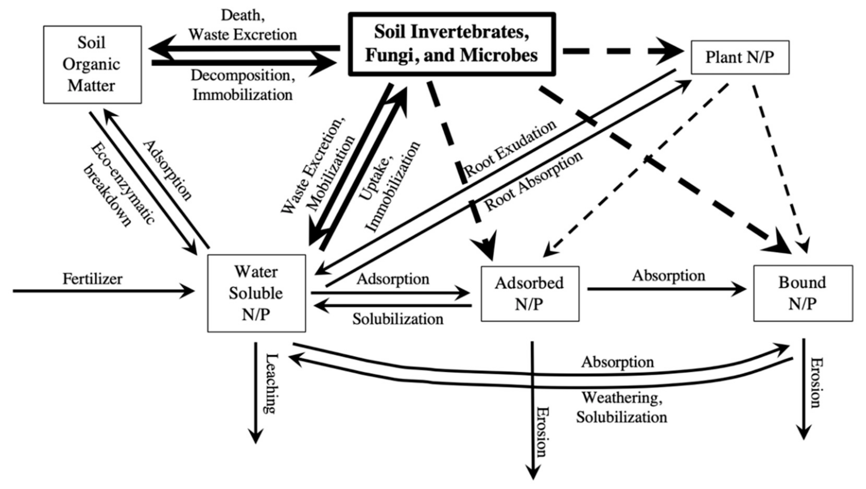 Insects 10 00453 g001 Insects 10 00453 g001