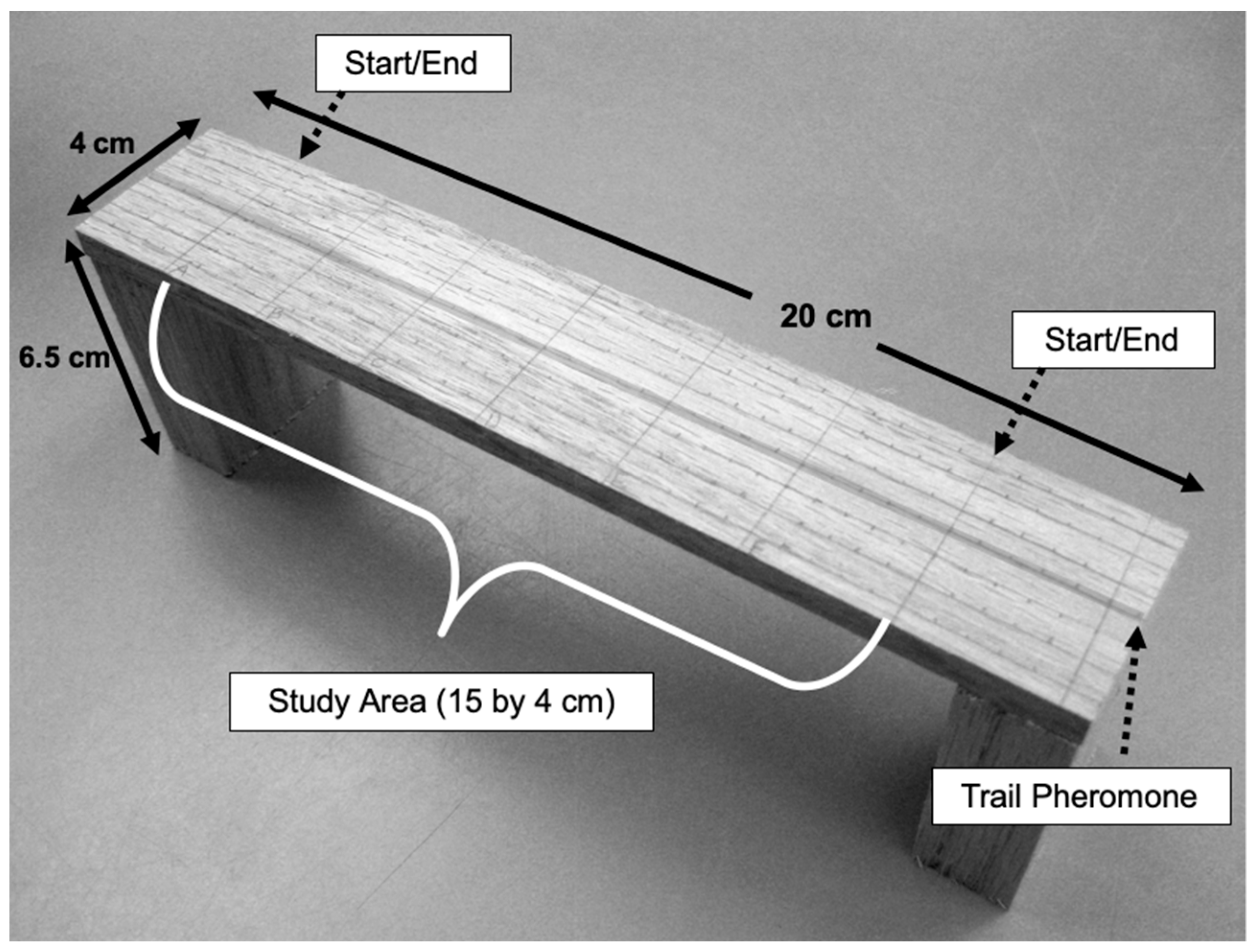 Insects 11 00005 g001