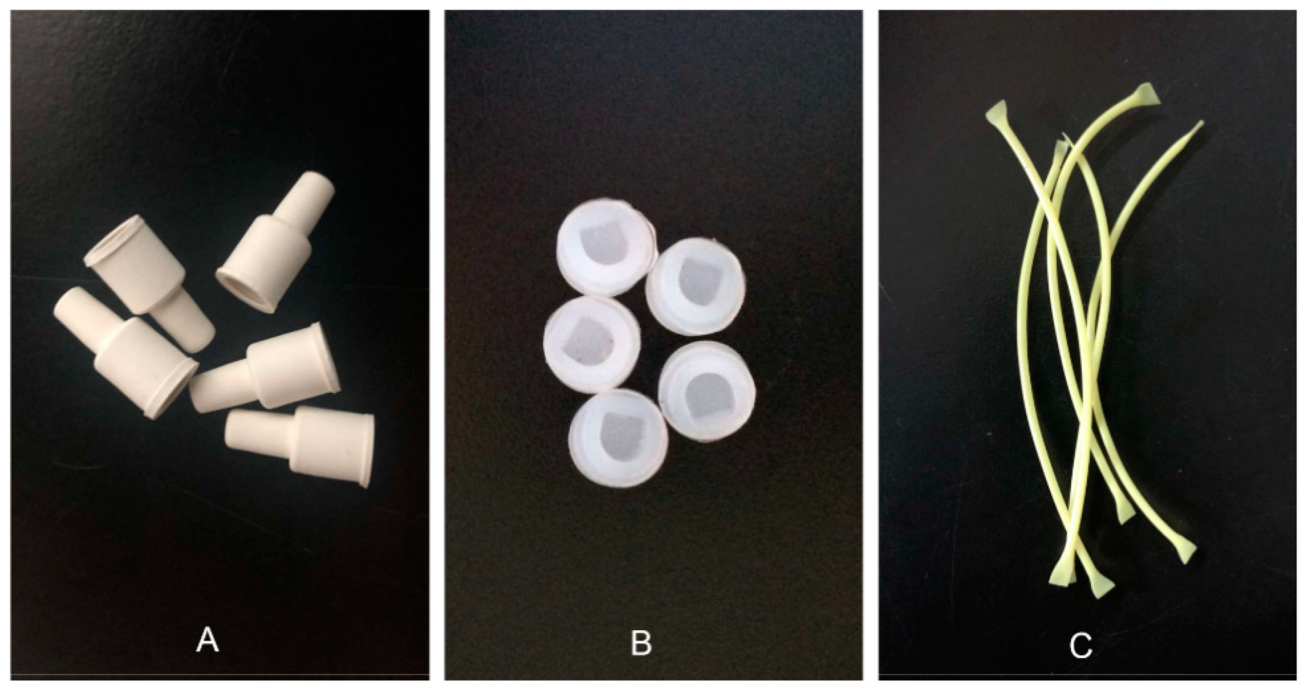 Insects 11 00015 g004