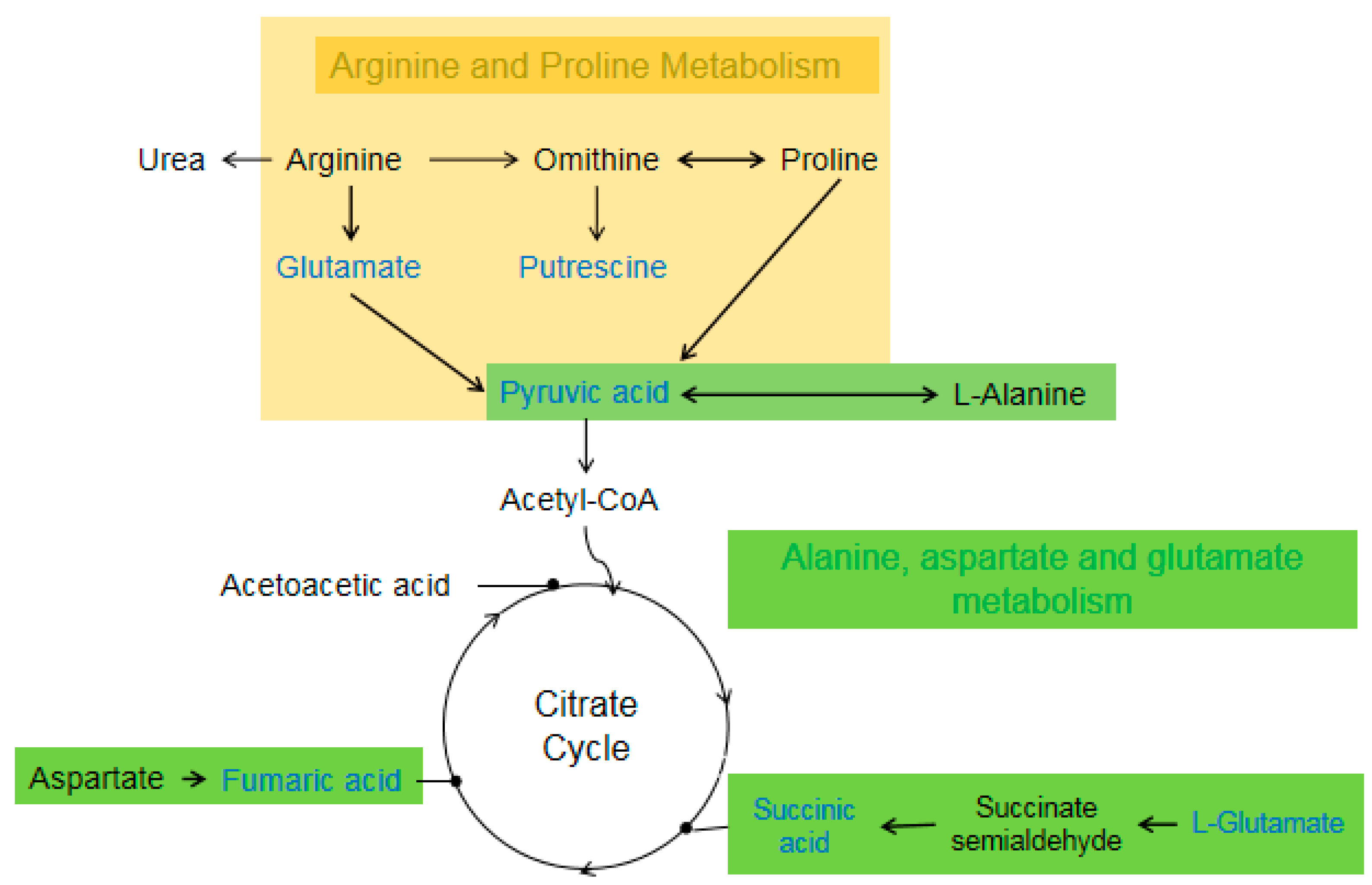 Insects 11 00017 g005