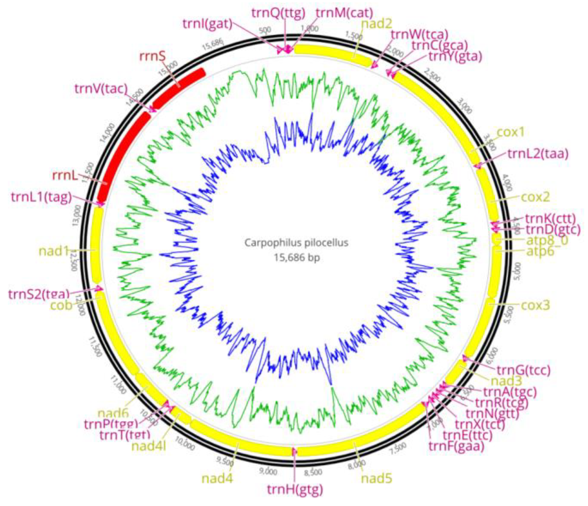 Insects 11 00024 g001b