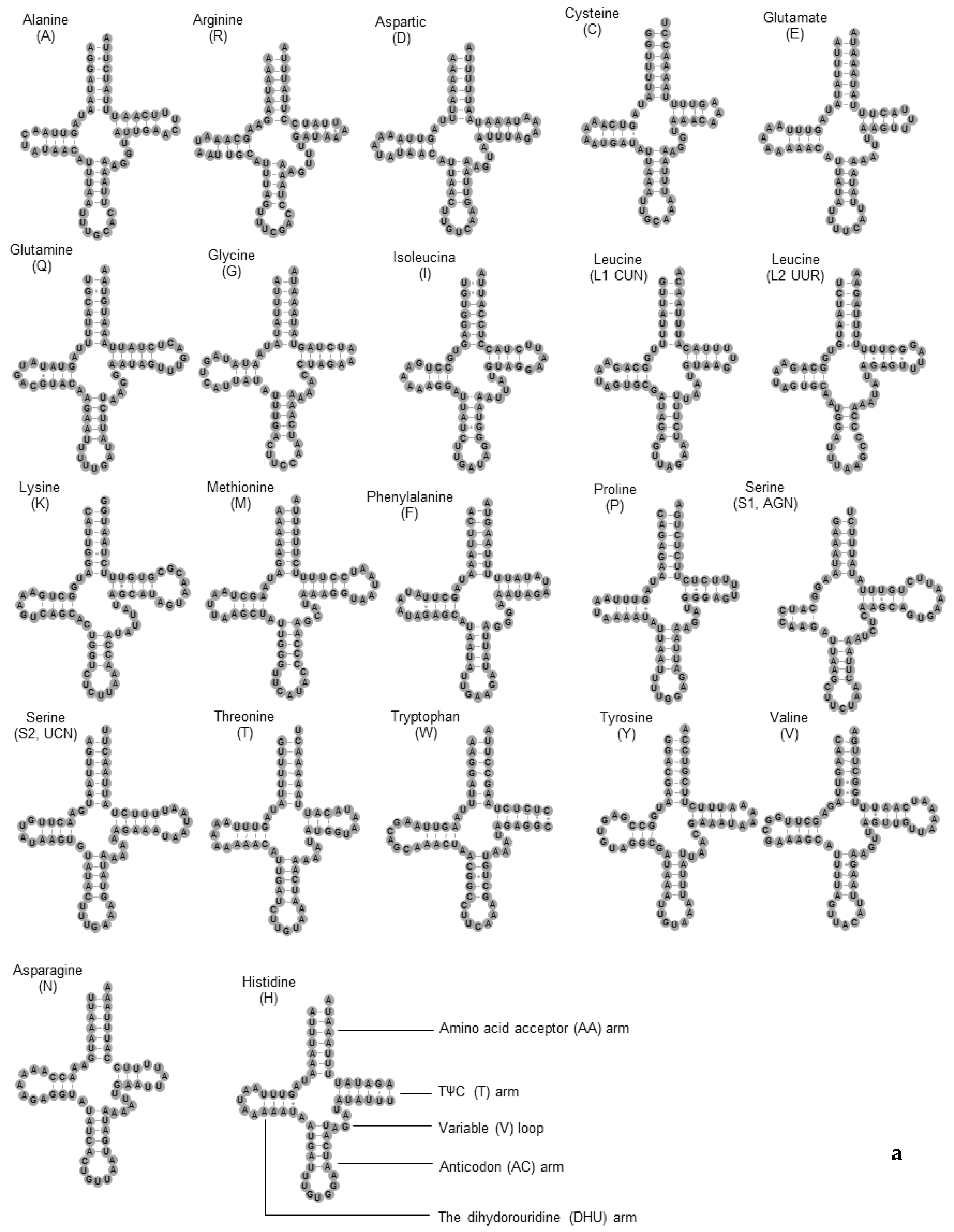 Insects 11 00024 g003a