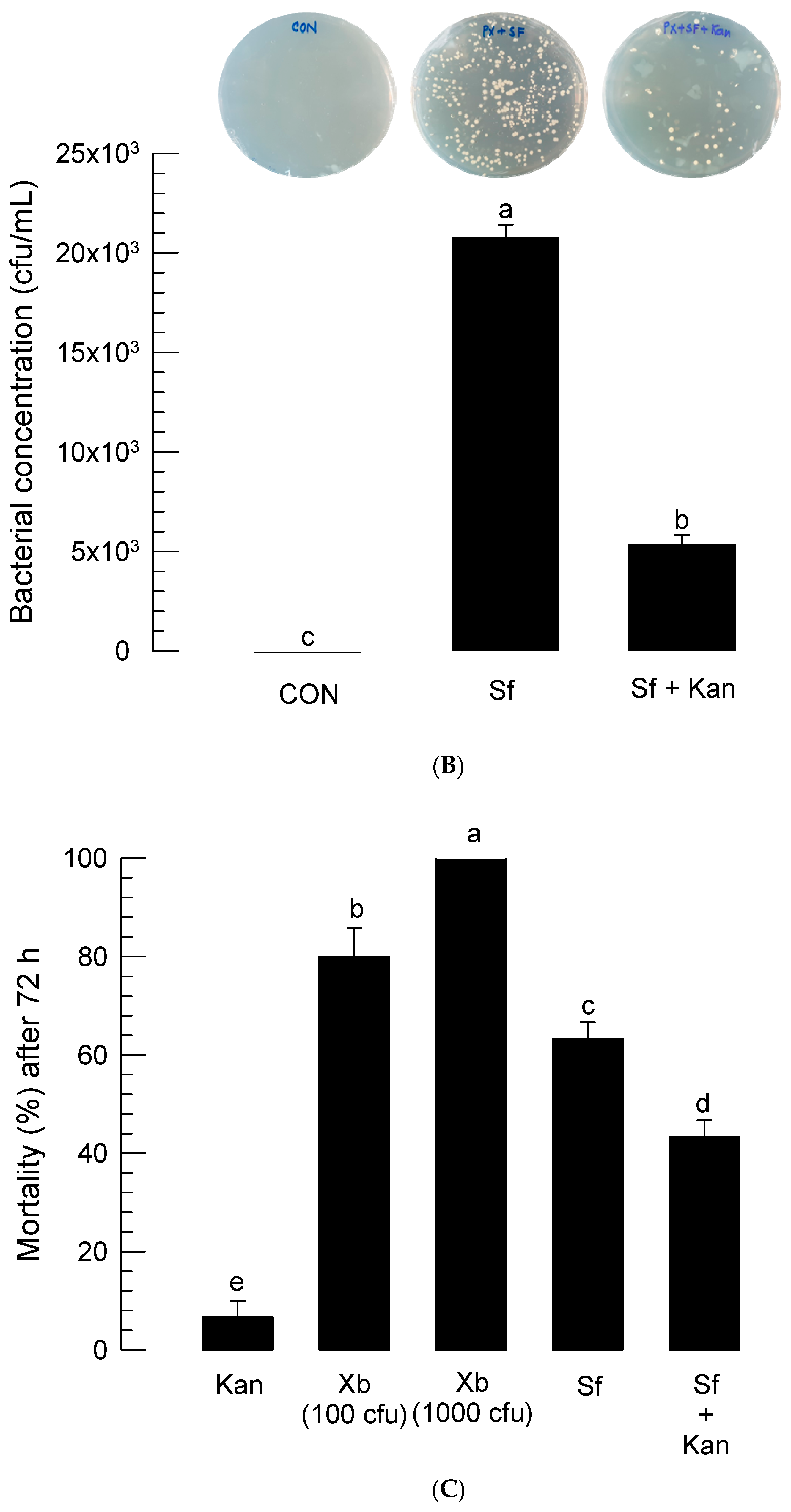 Insects 11 00033 g007b Insects 11 00033 g007b