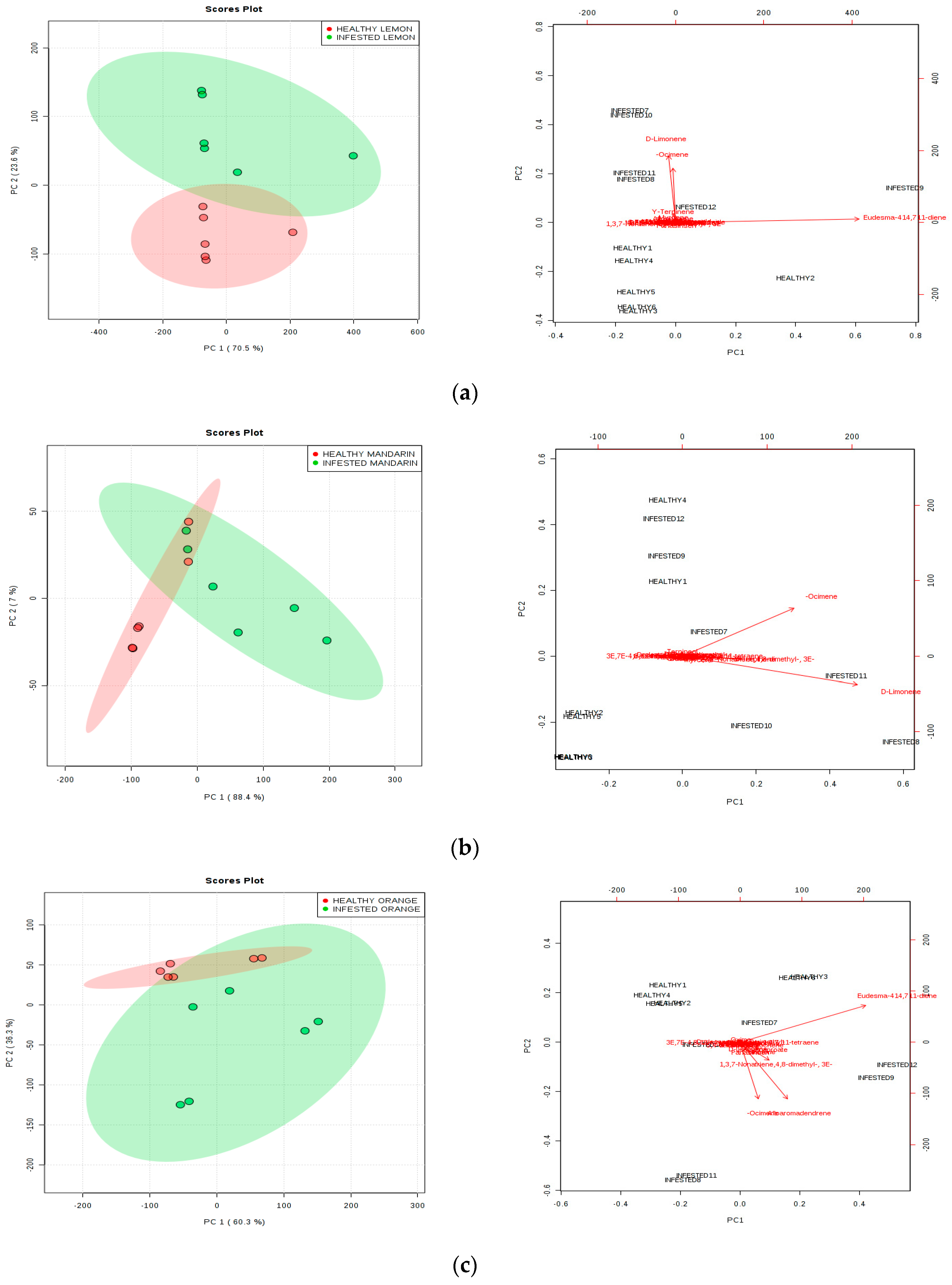 Insects 11 00044 g001