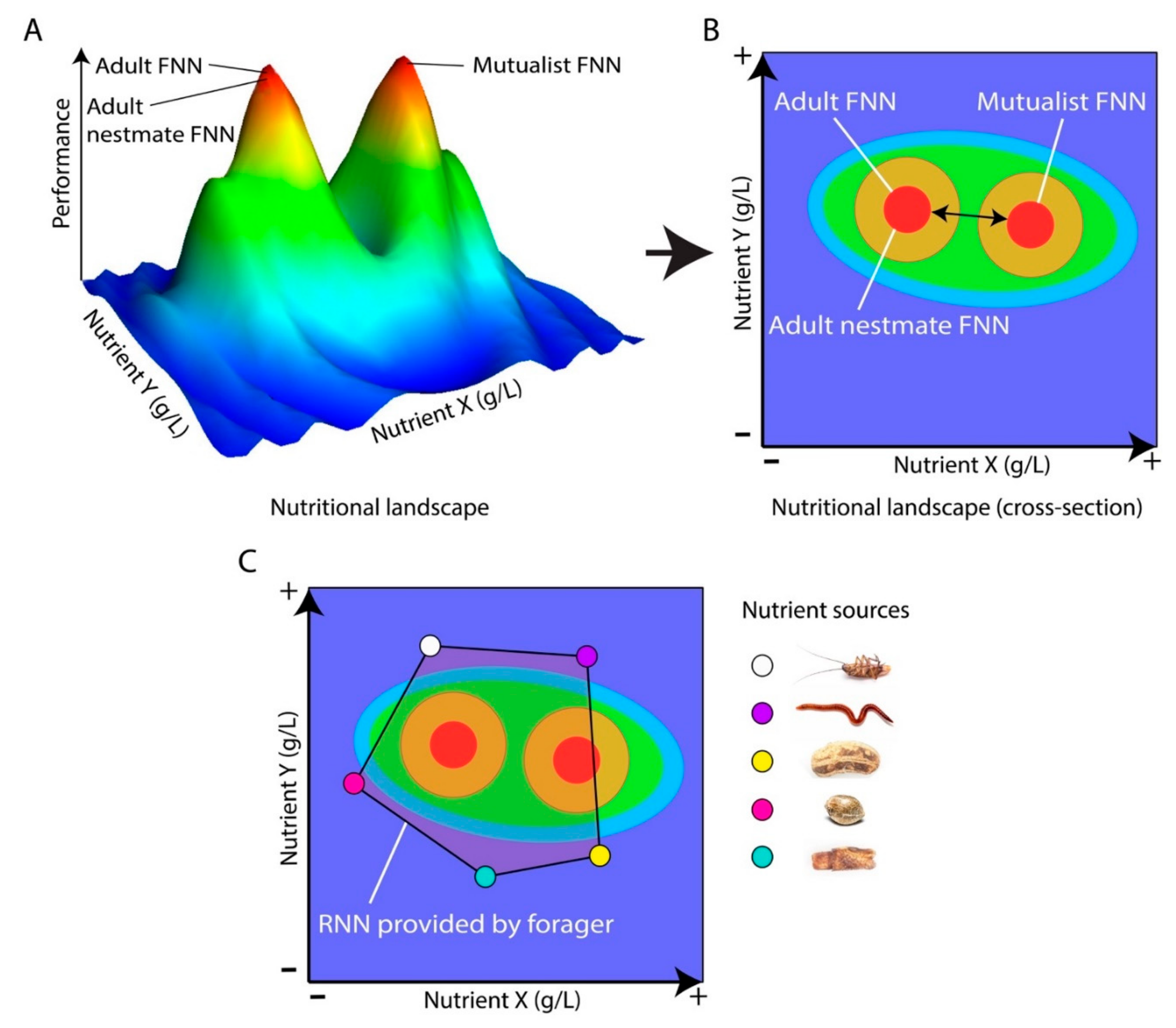 Insects 11 00053 g003 Insects 11 00053 g003