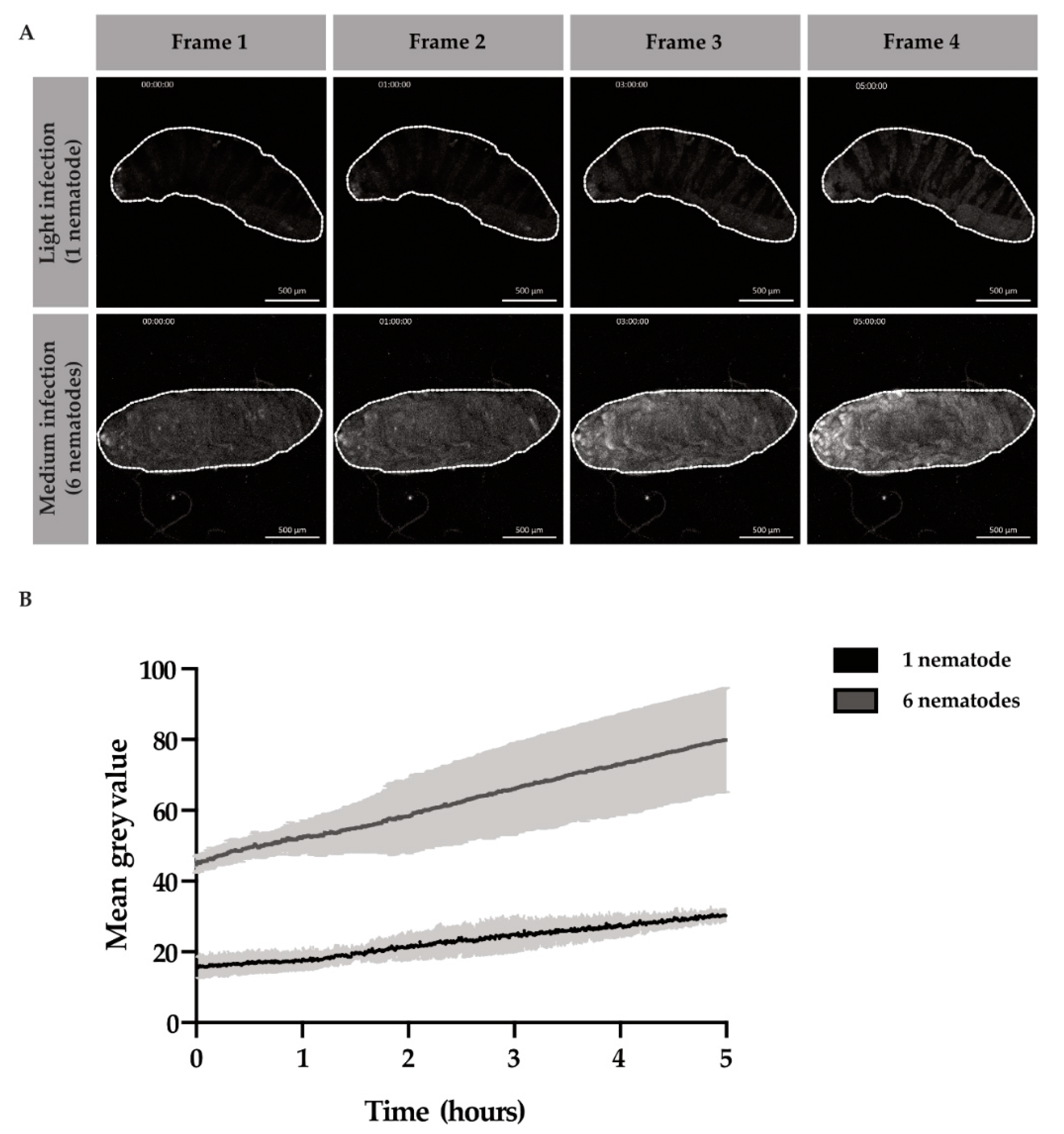 Insects 11 00060 g003