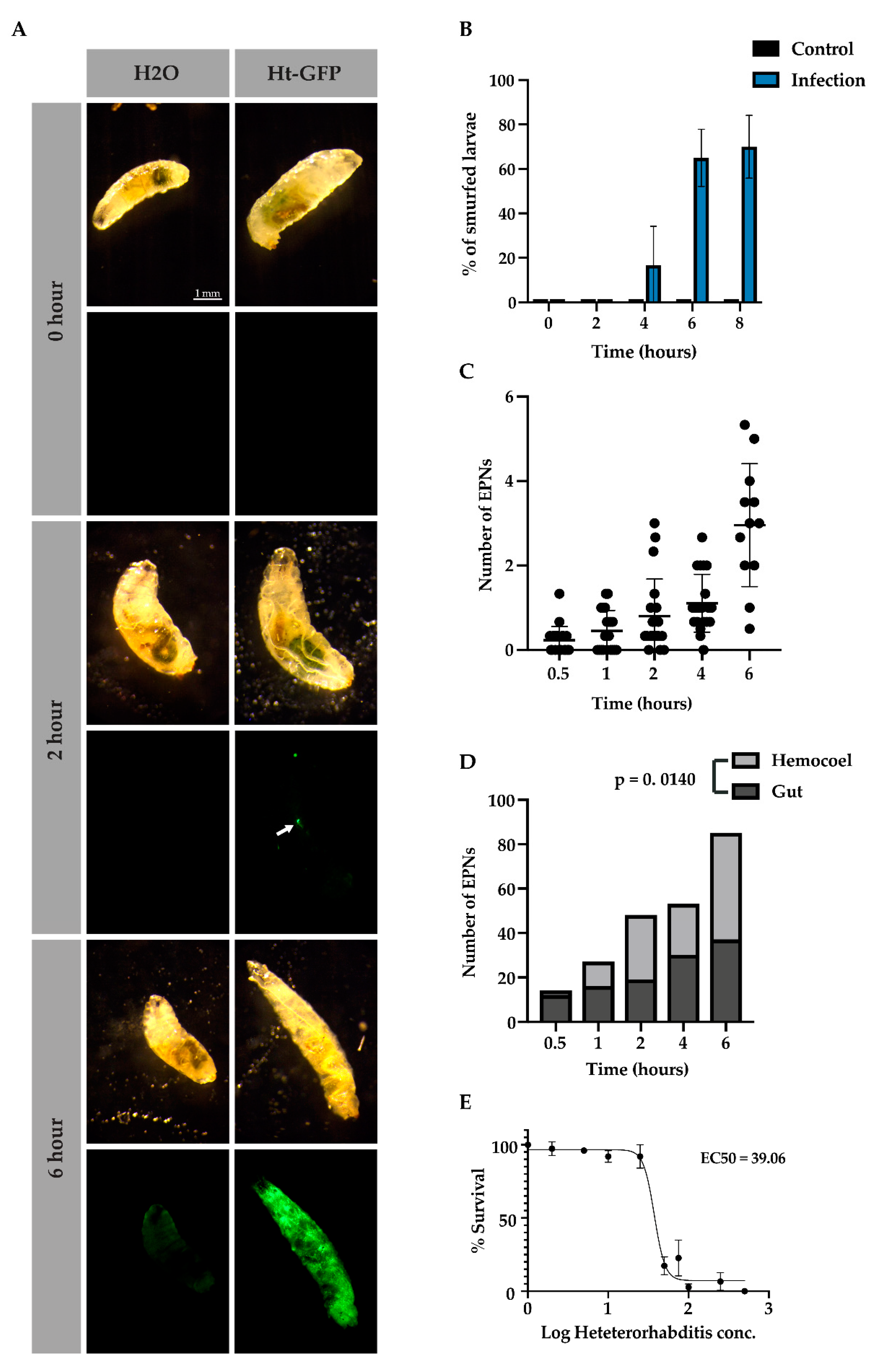 Insects 11 00060 g004