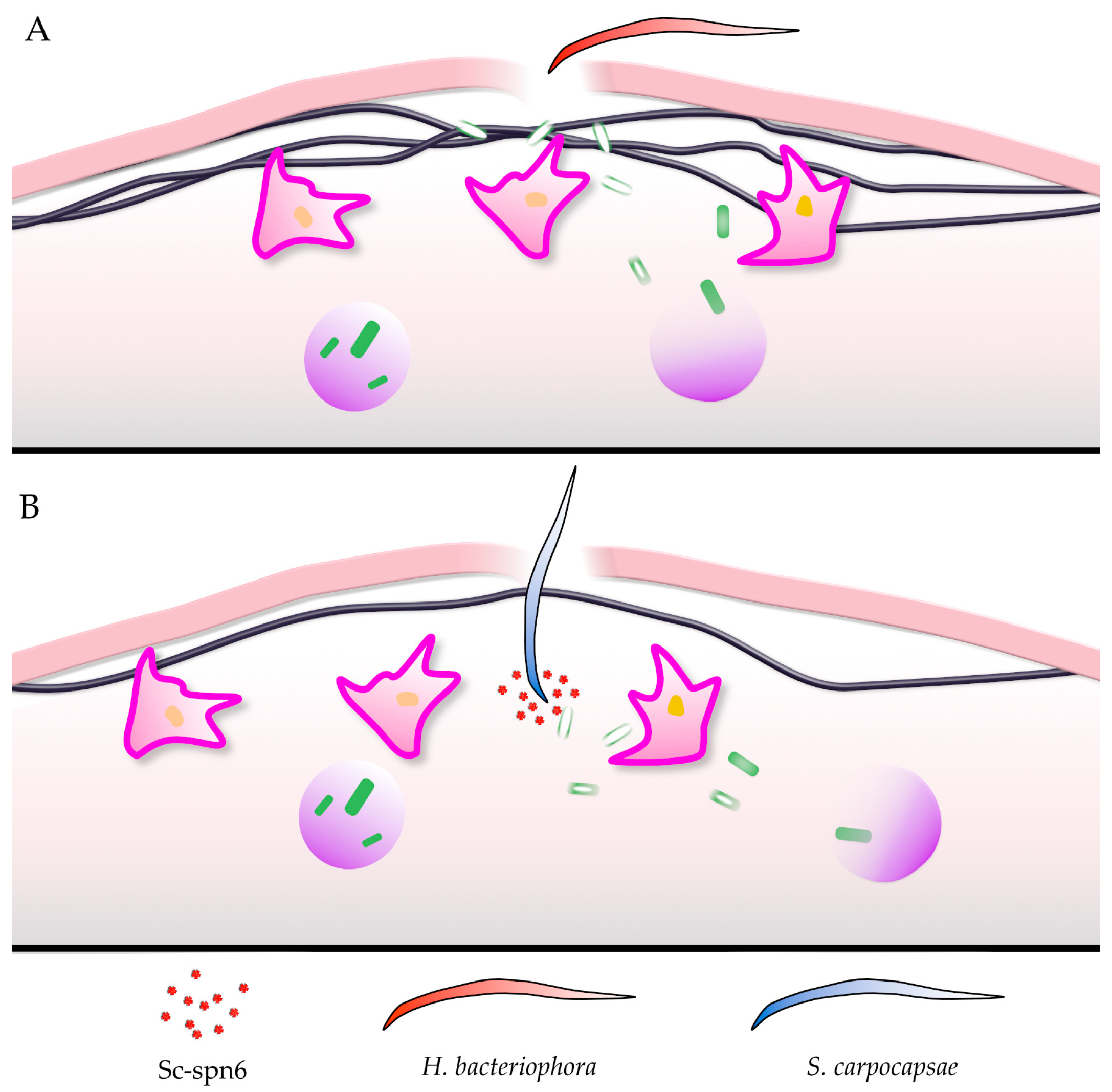 Insects 11 00062 g002 Insects 11 00062 g002