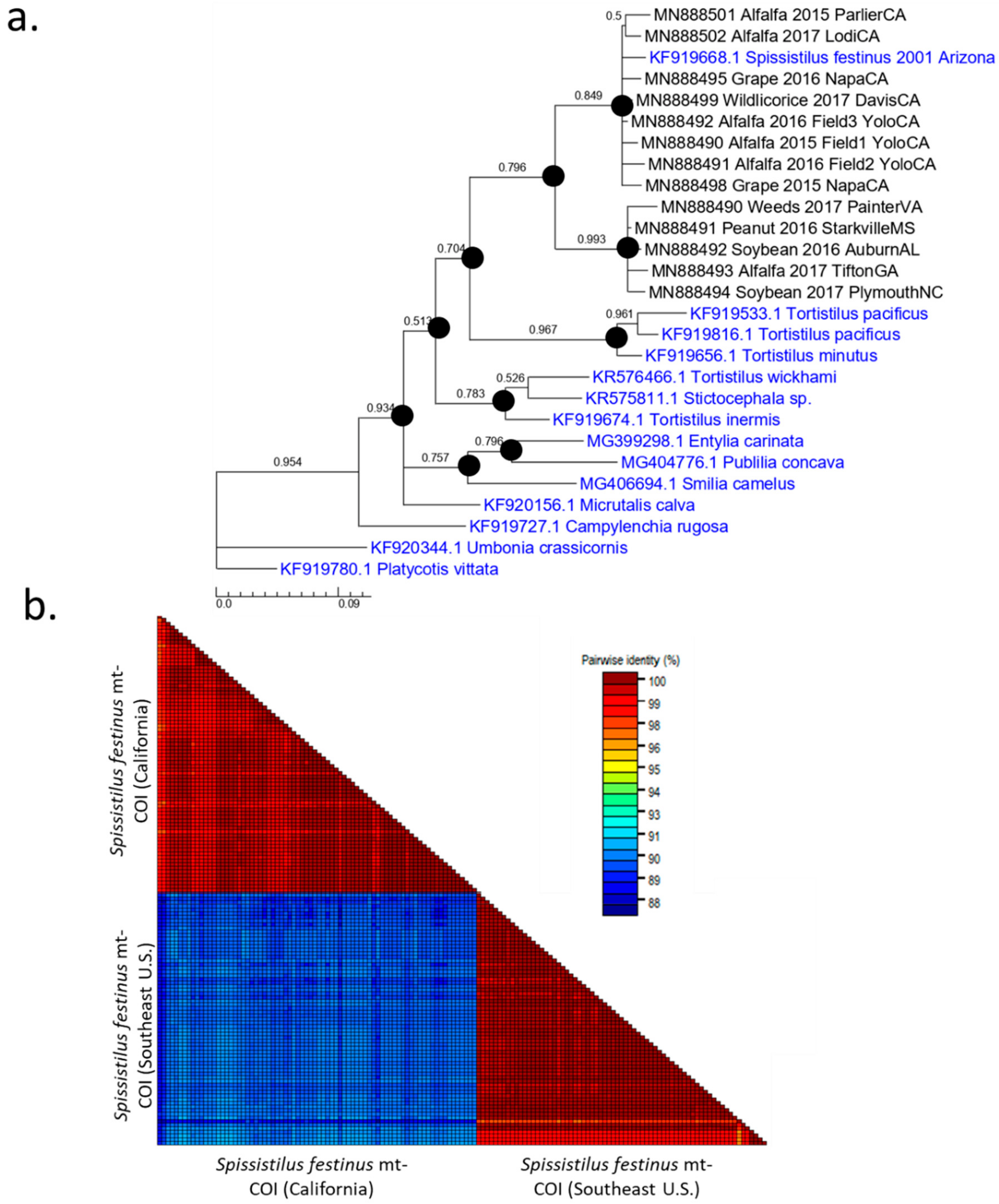 Insects 11 00080 g001