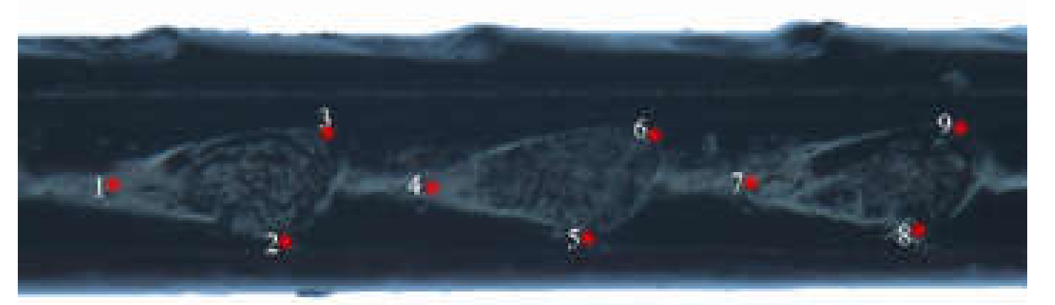 Insects 11 00084 g002