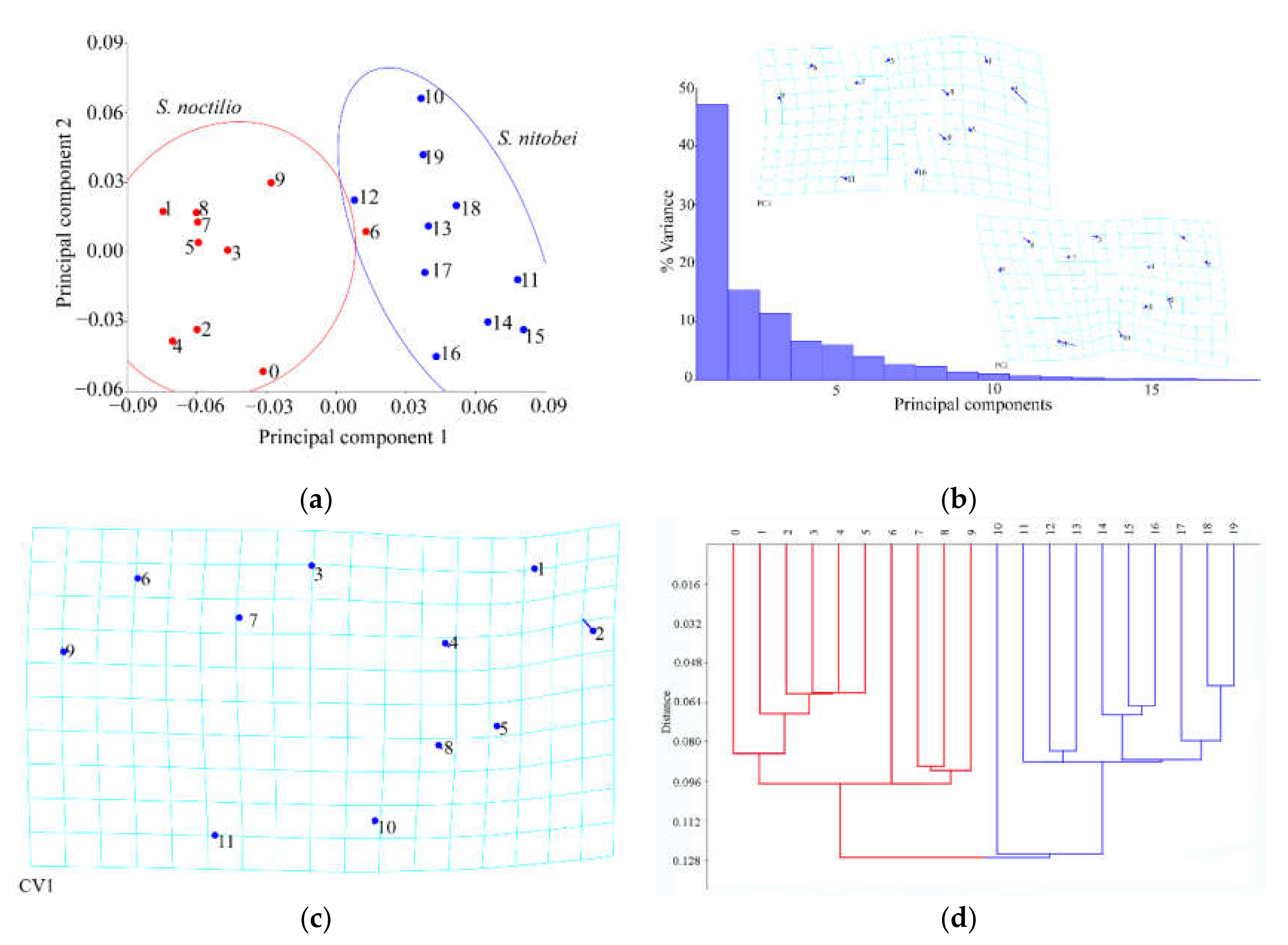 Insects 11 00084 g007