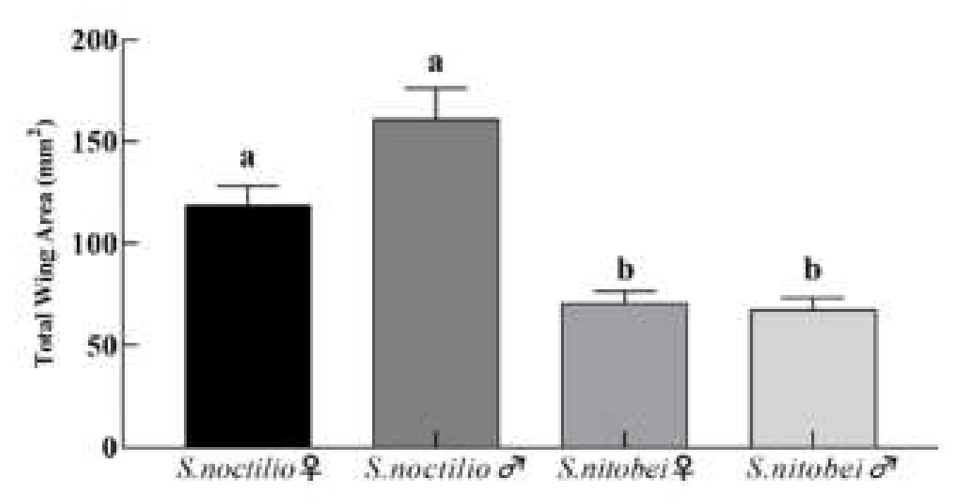 Insects 11 00084 g008