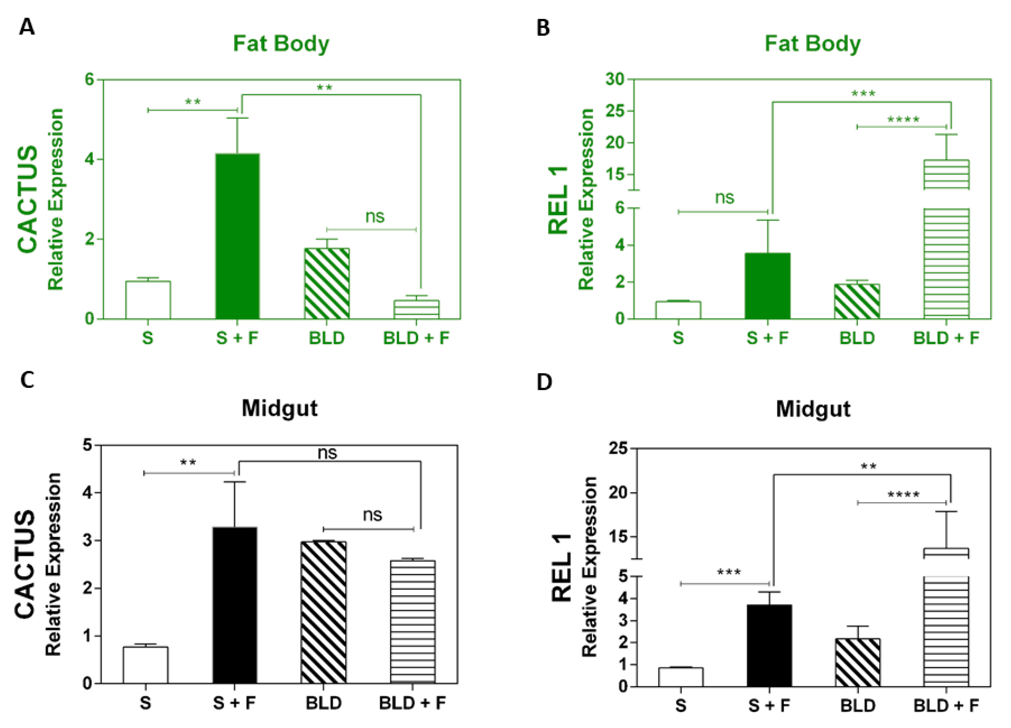 Insects 11 00095 g002