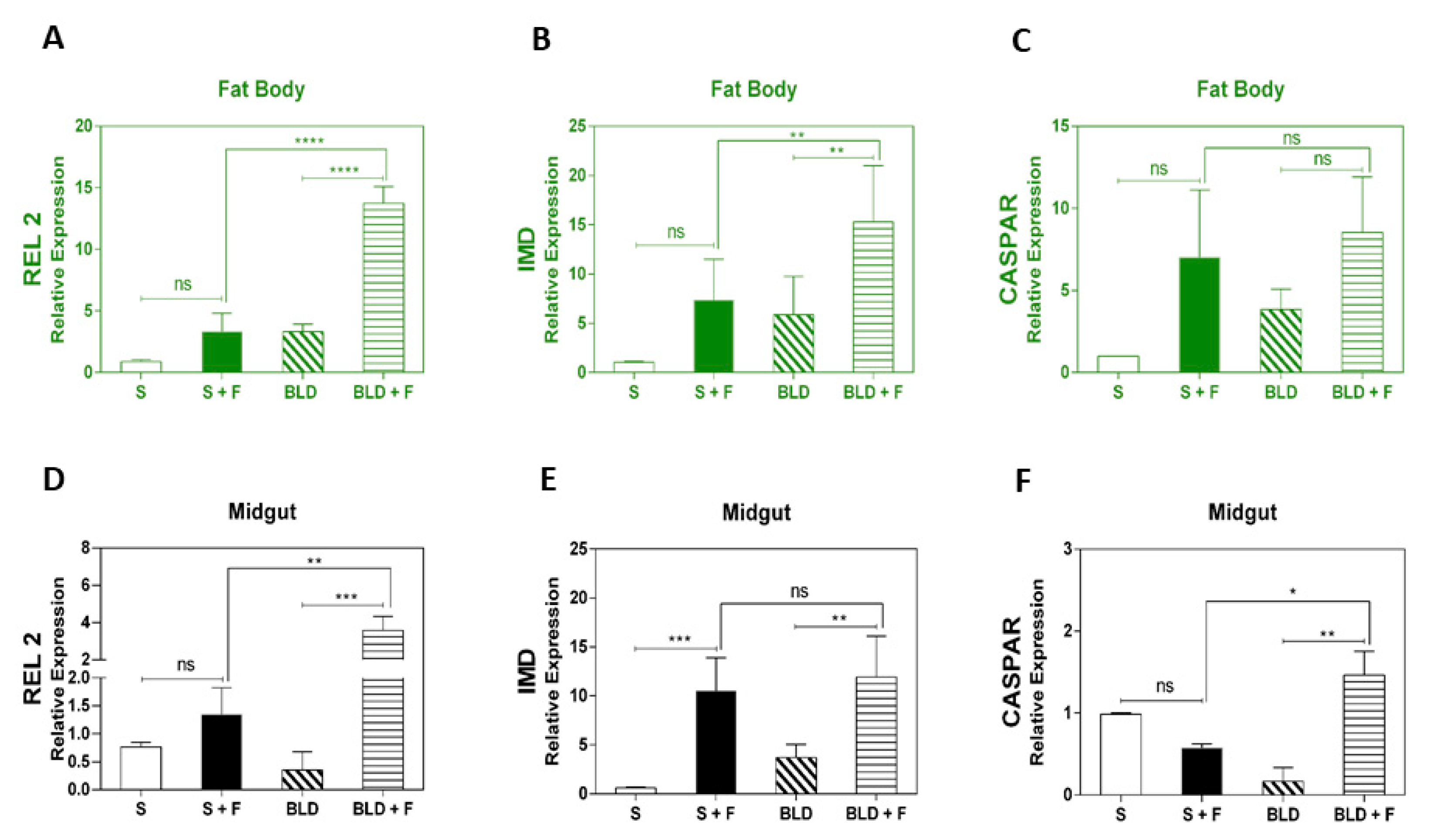 Insects 11 00095 g003