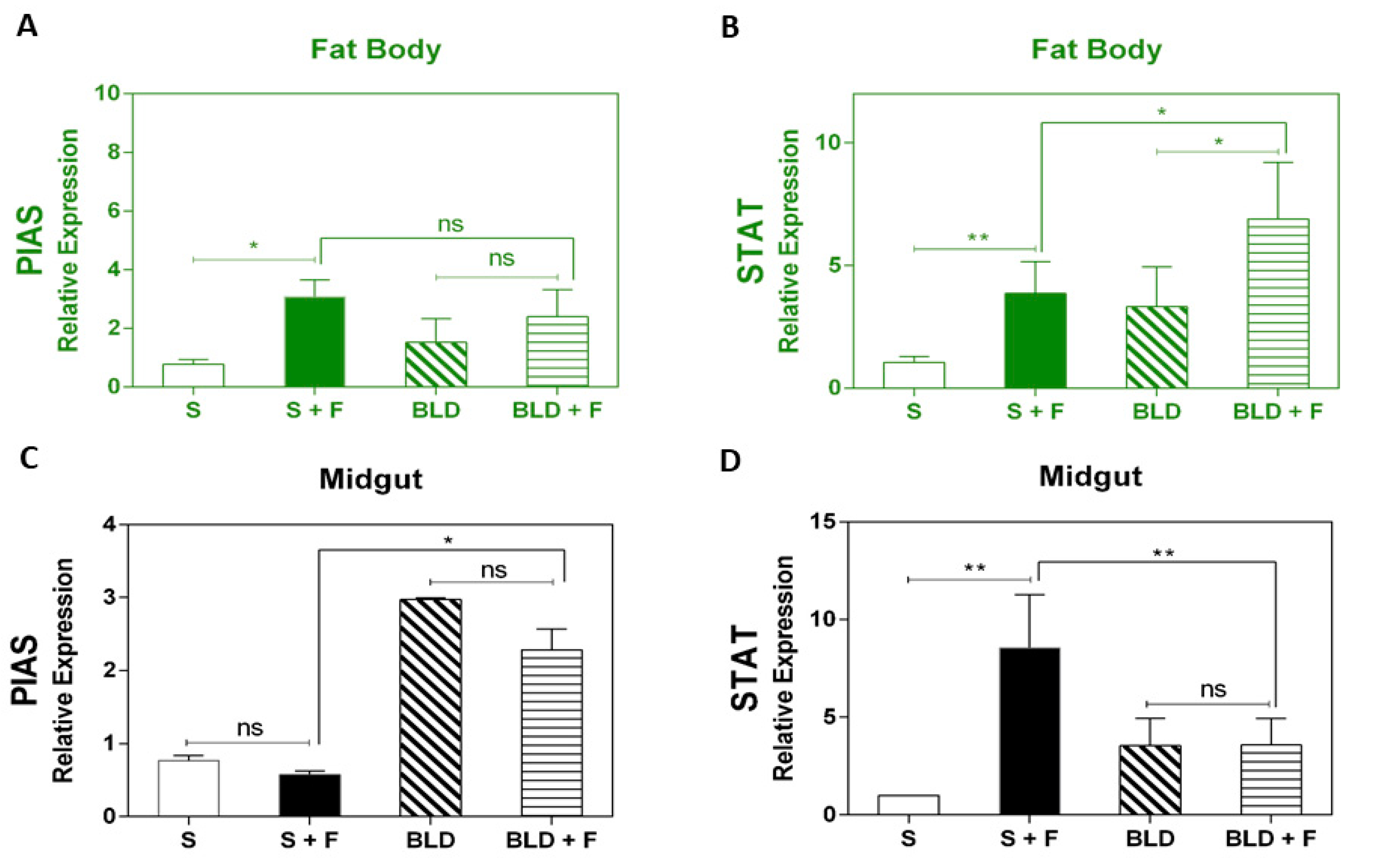 Insects 11 00095 g004