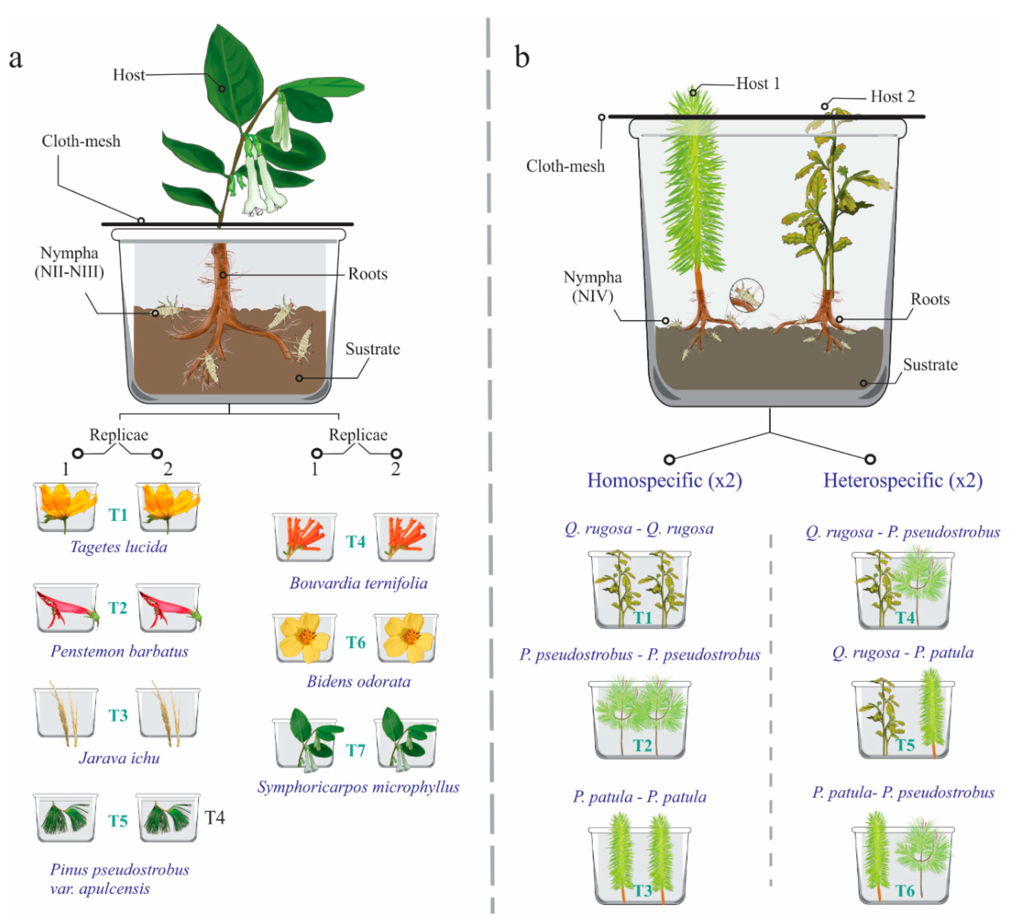 Insects 11 00096 g002 Insects 11 00096 g002