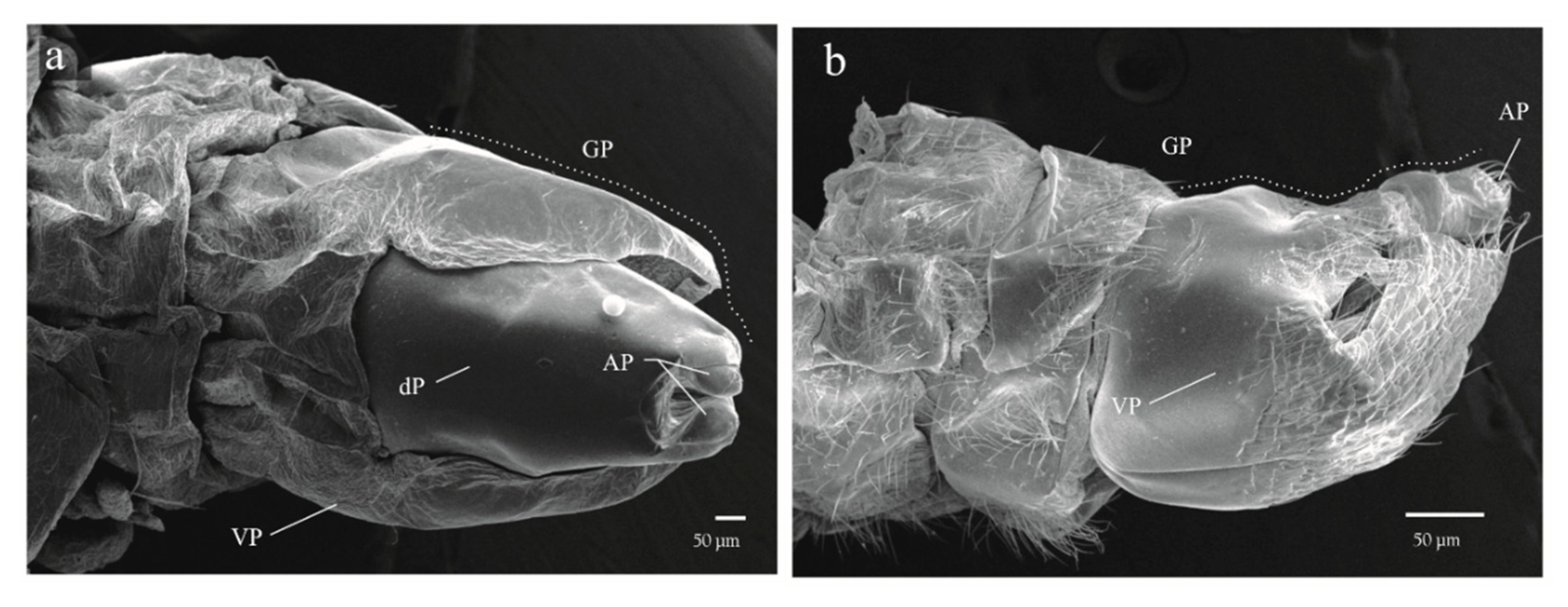 Insects 11 00096 g009 Insects 11 00096 g009
