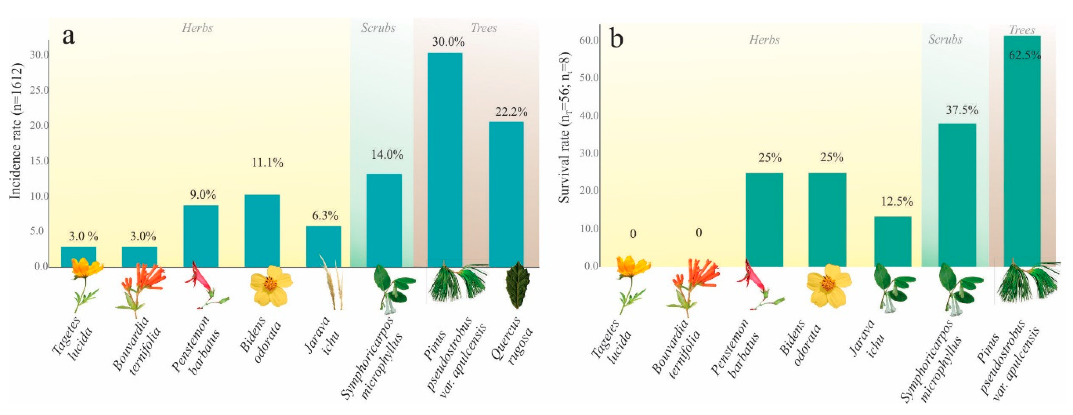 Insects 11 00096 g011 Insects 11 00096 g011