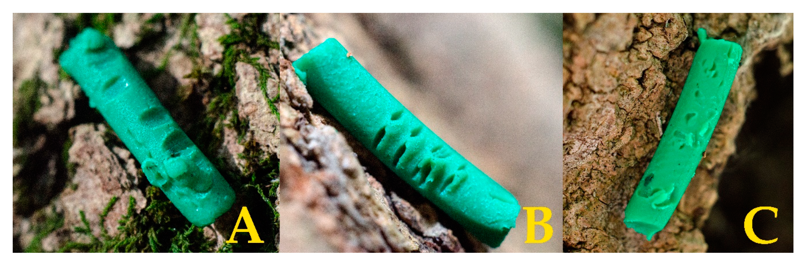 Insects 11 00097 g003 Insects 11 00097 g003