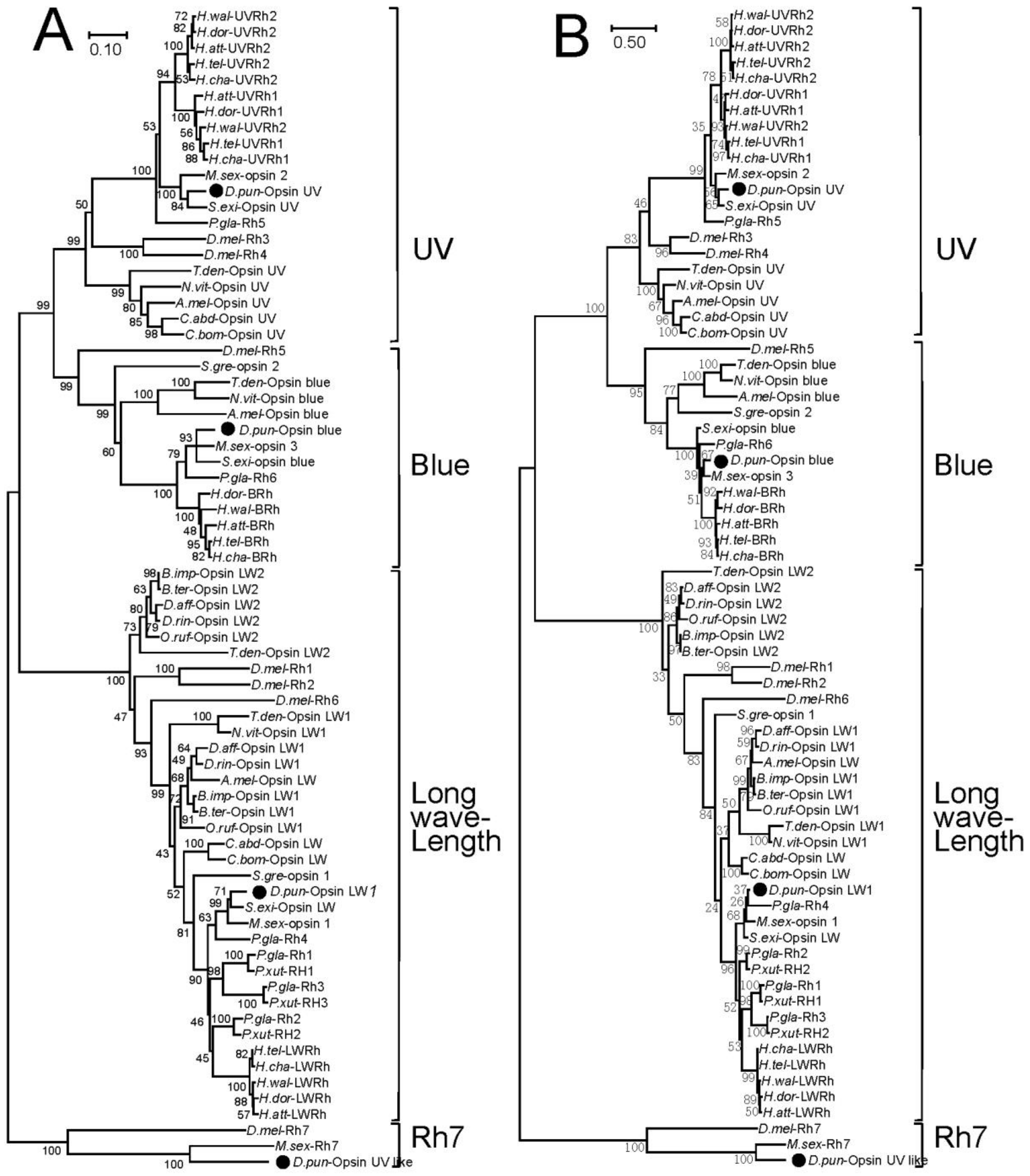Insects 11 00116 g002 Insects 11 00116 g002