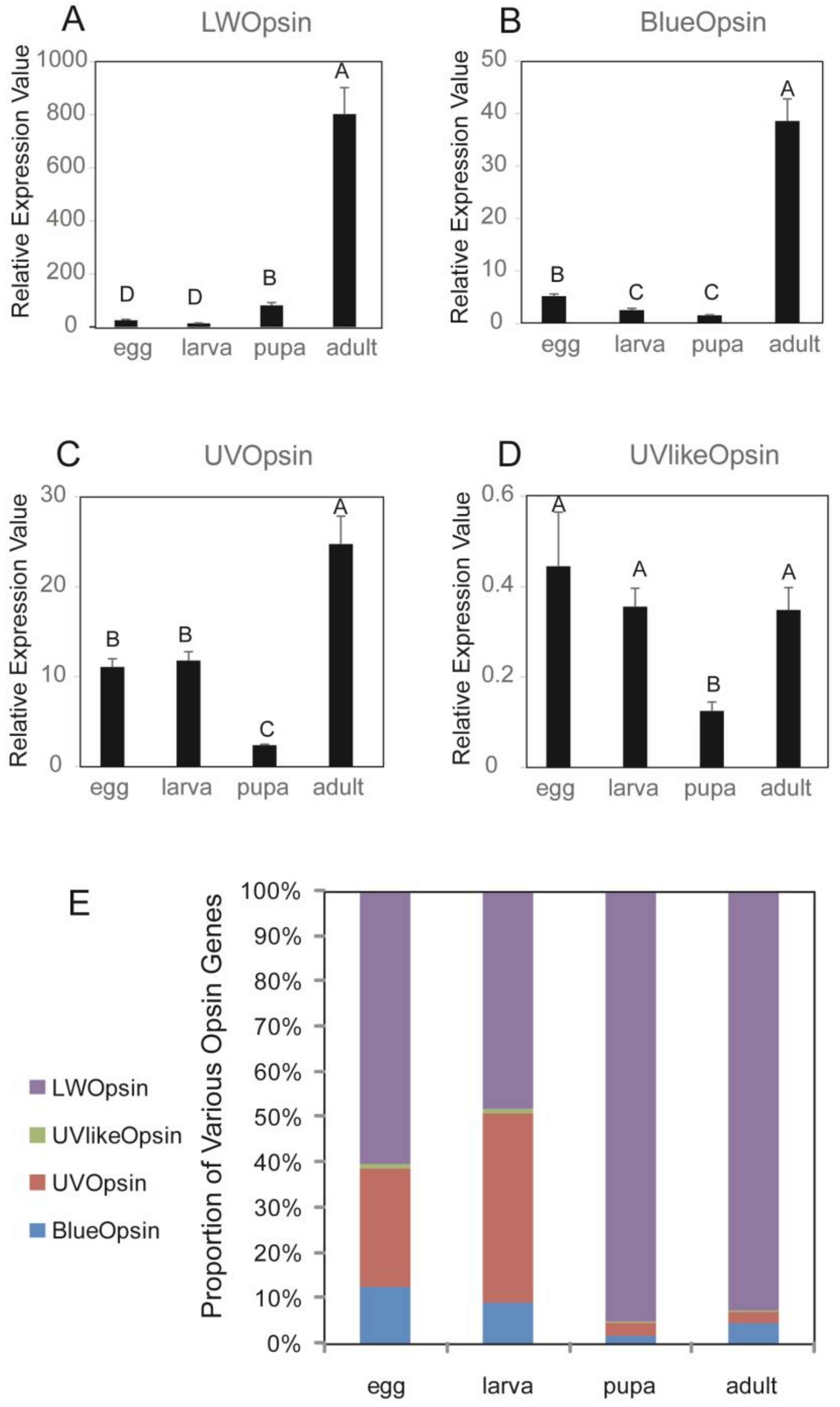 Insects 11 00116 g003 Insects 11 00116 g003