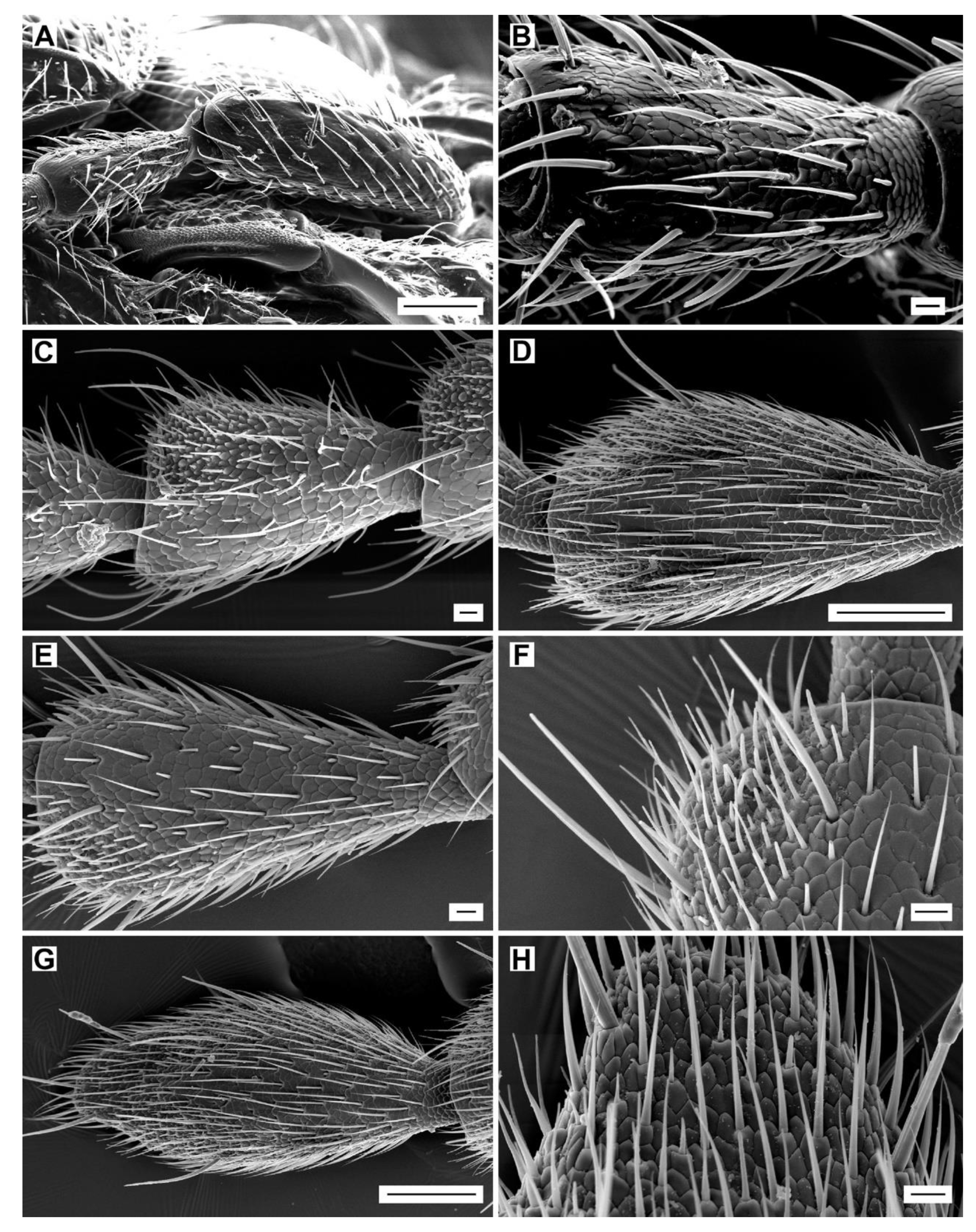 Insects 11 00137 g003 Insects 11 00137 g003