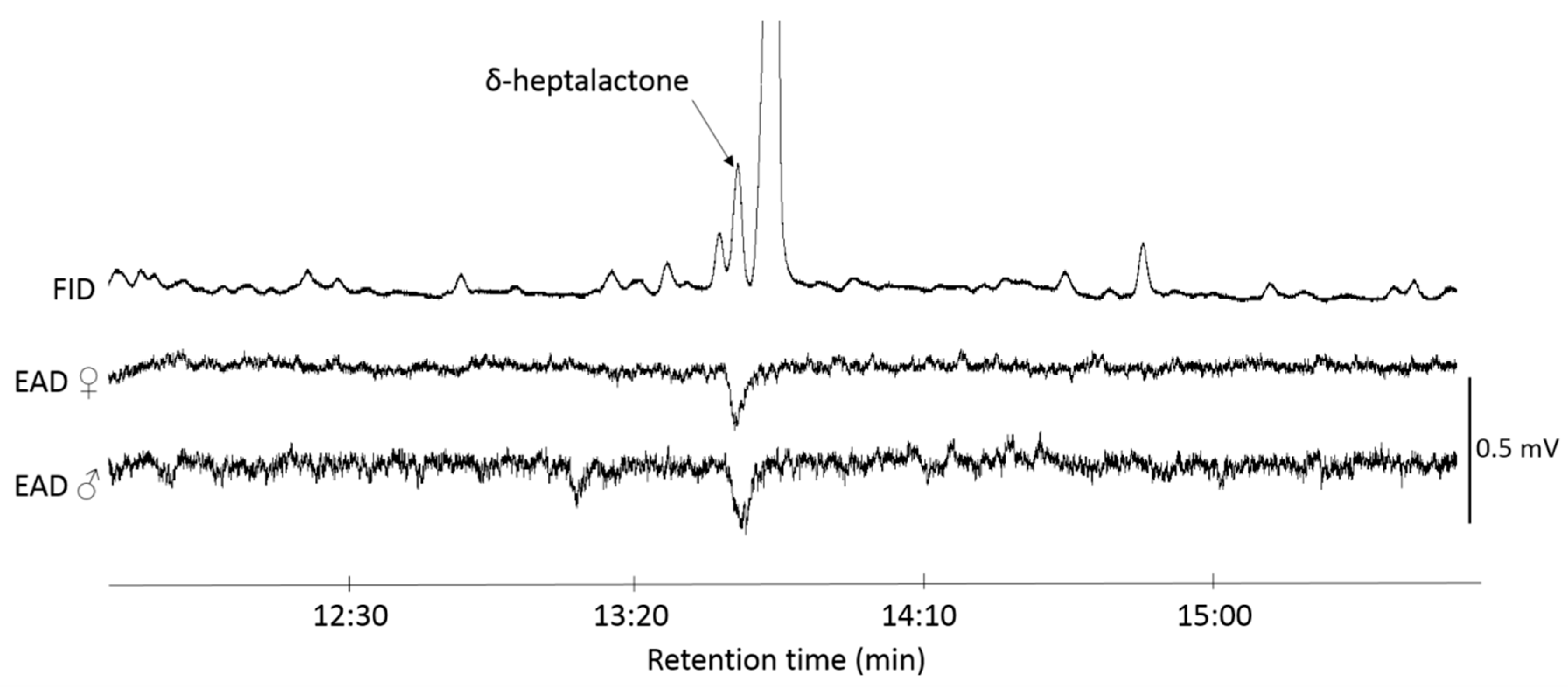 Insects 11 00138 g003