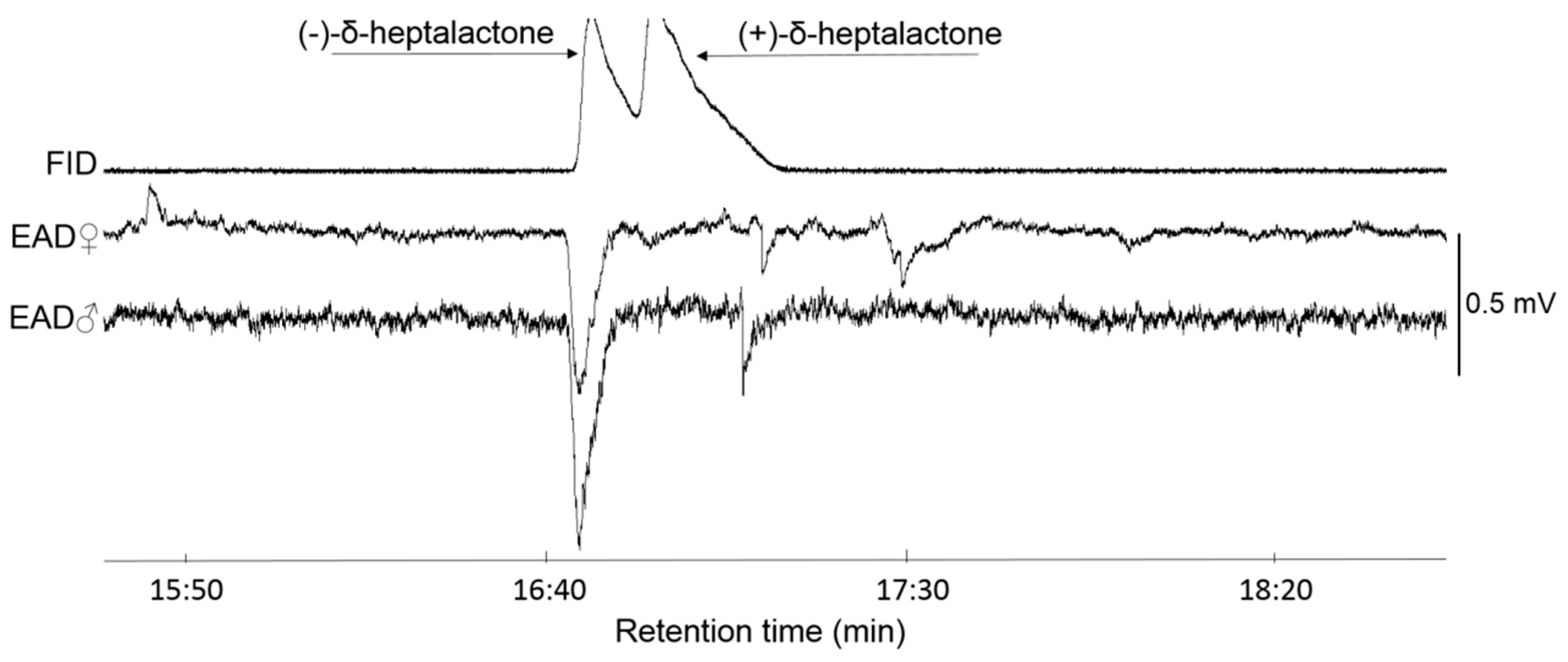 Insects 11 00138 g004