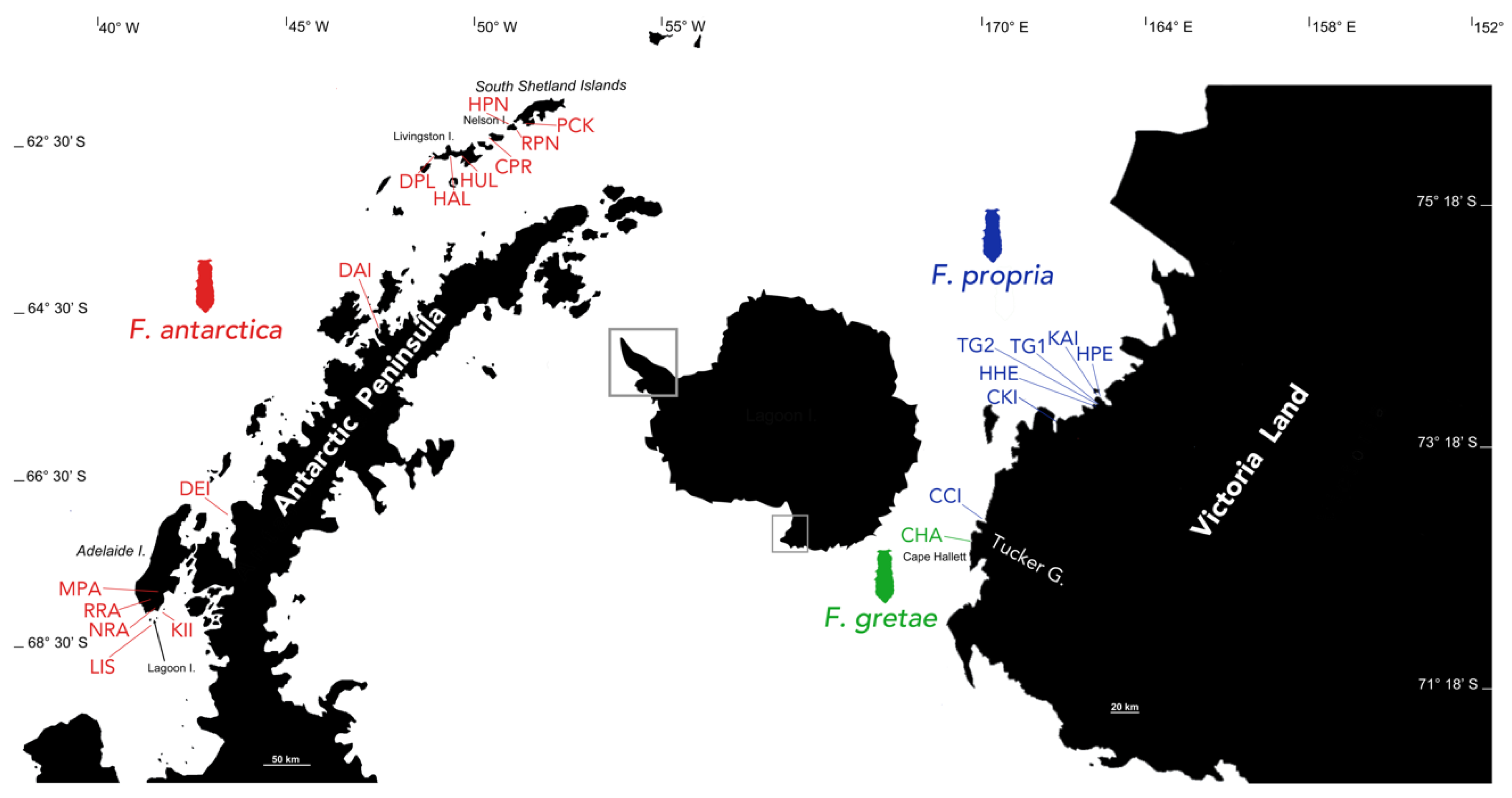 Insects 11 00141 g001 Insects 11 00141 g001