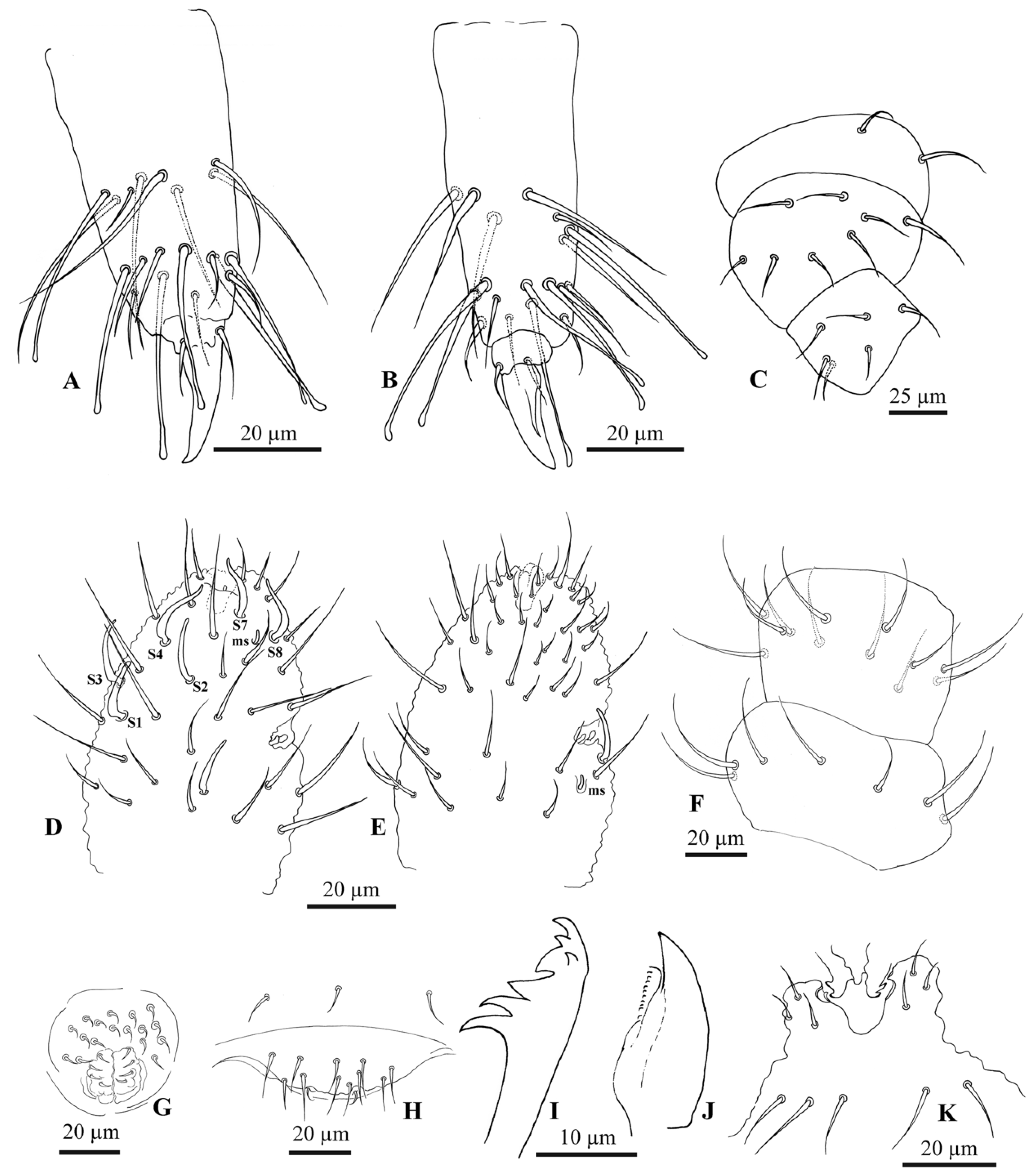 Insects 11 00141 g006 Insects 11 00141 g006