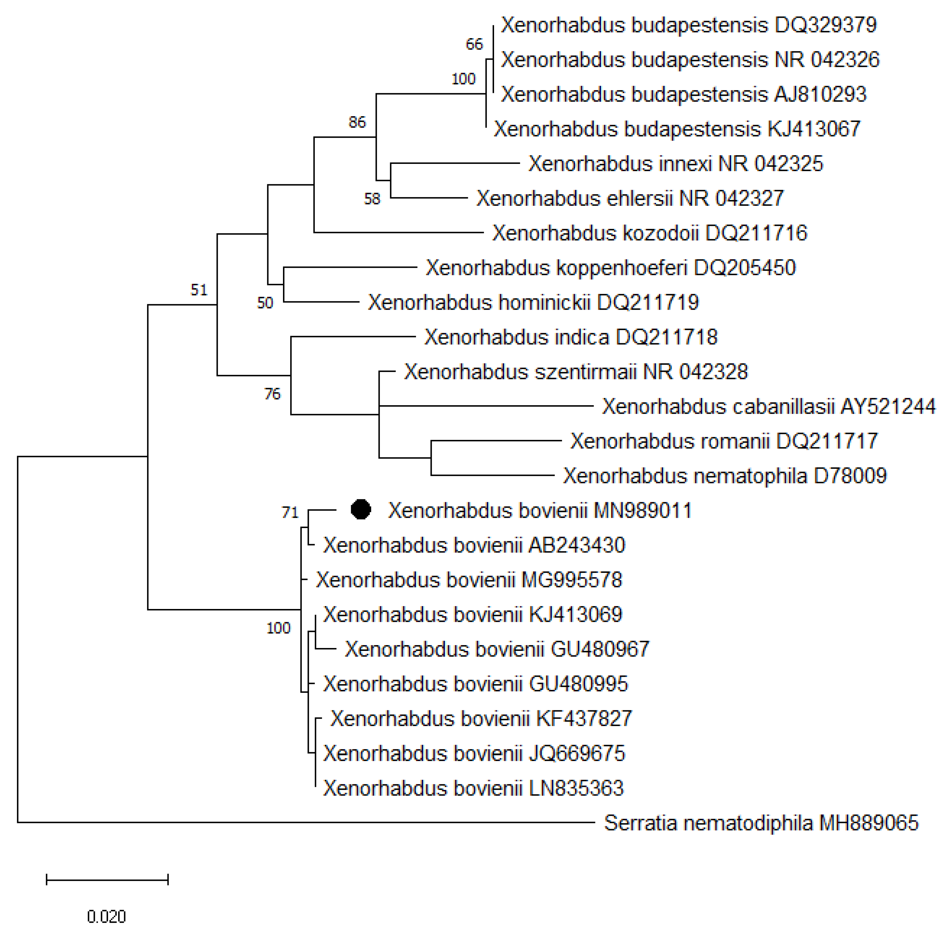 Insects 11 00144 g002 Insects 11 00144 g002