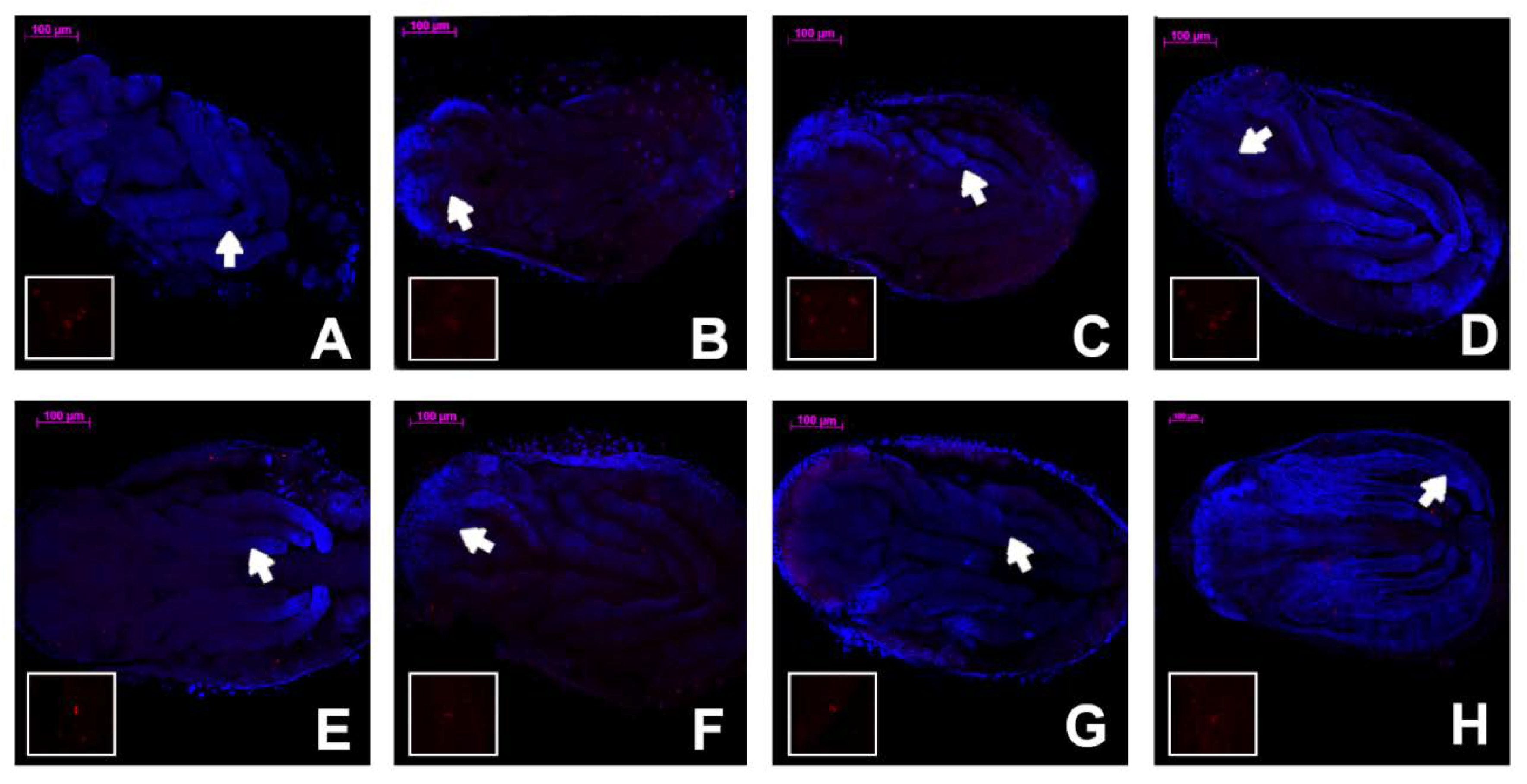 Insects 11 00150 g002 Insects 11 00150 g002