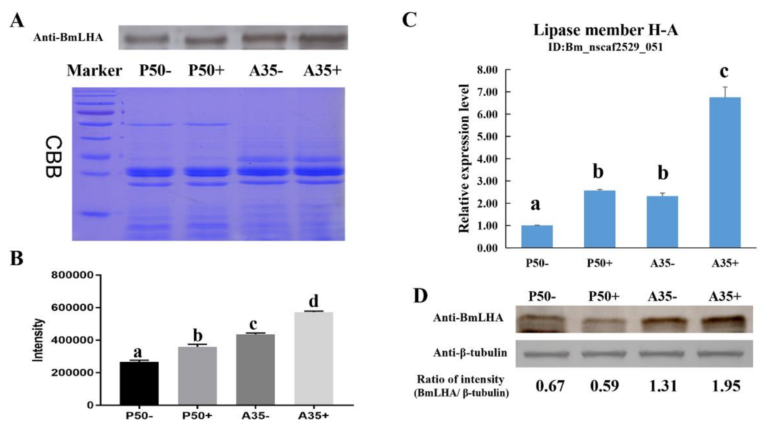 Insects 11 00154 g001