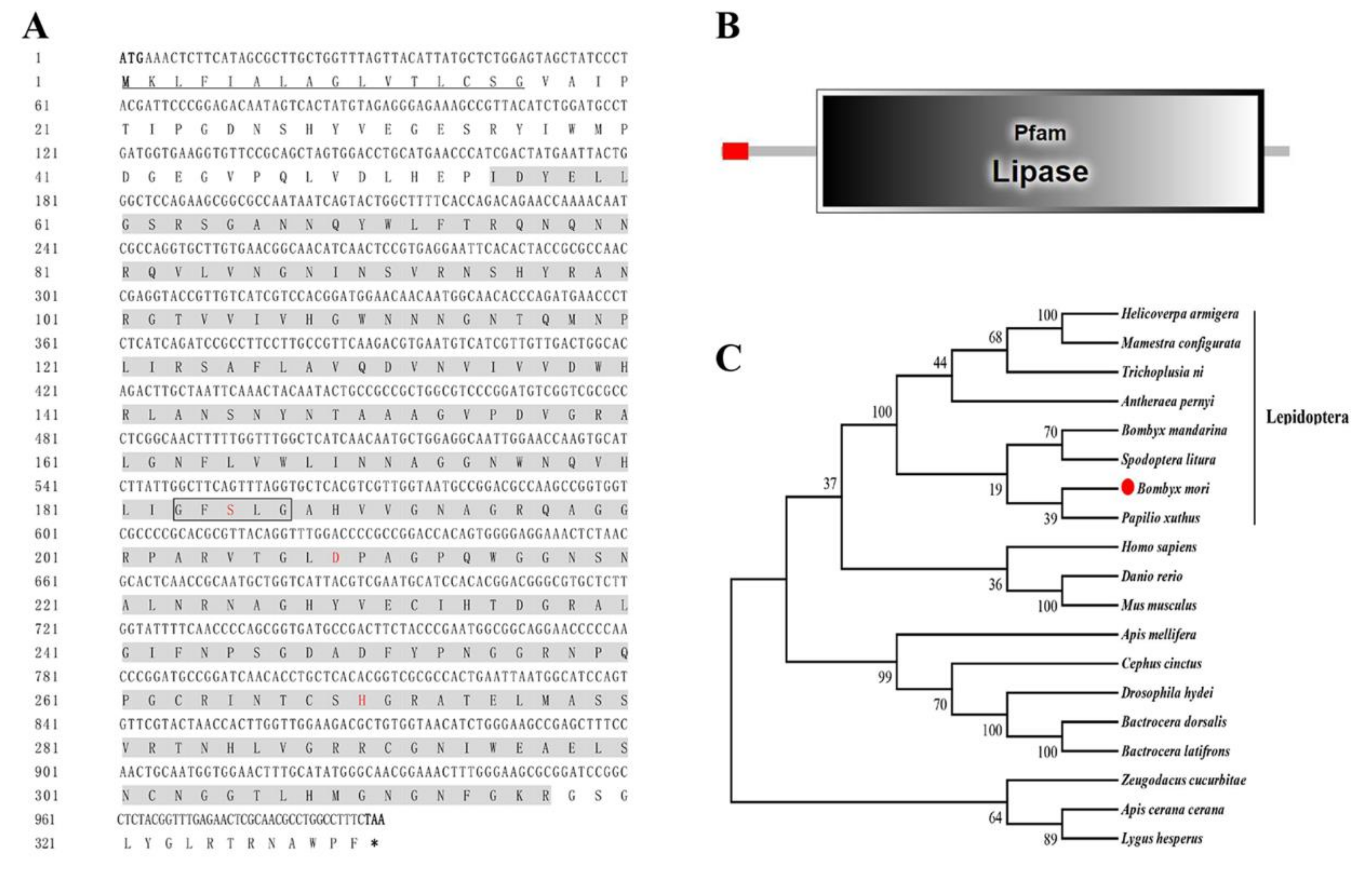 Insects 11 00154 g002