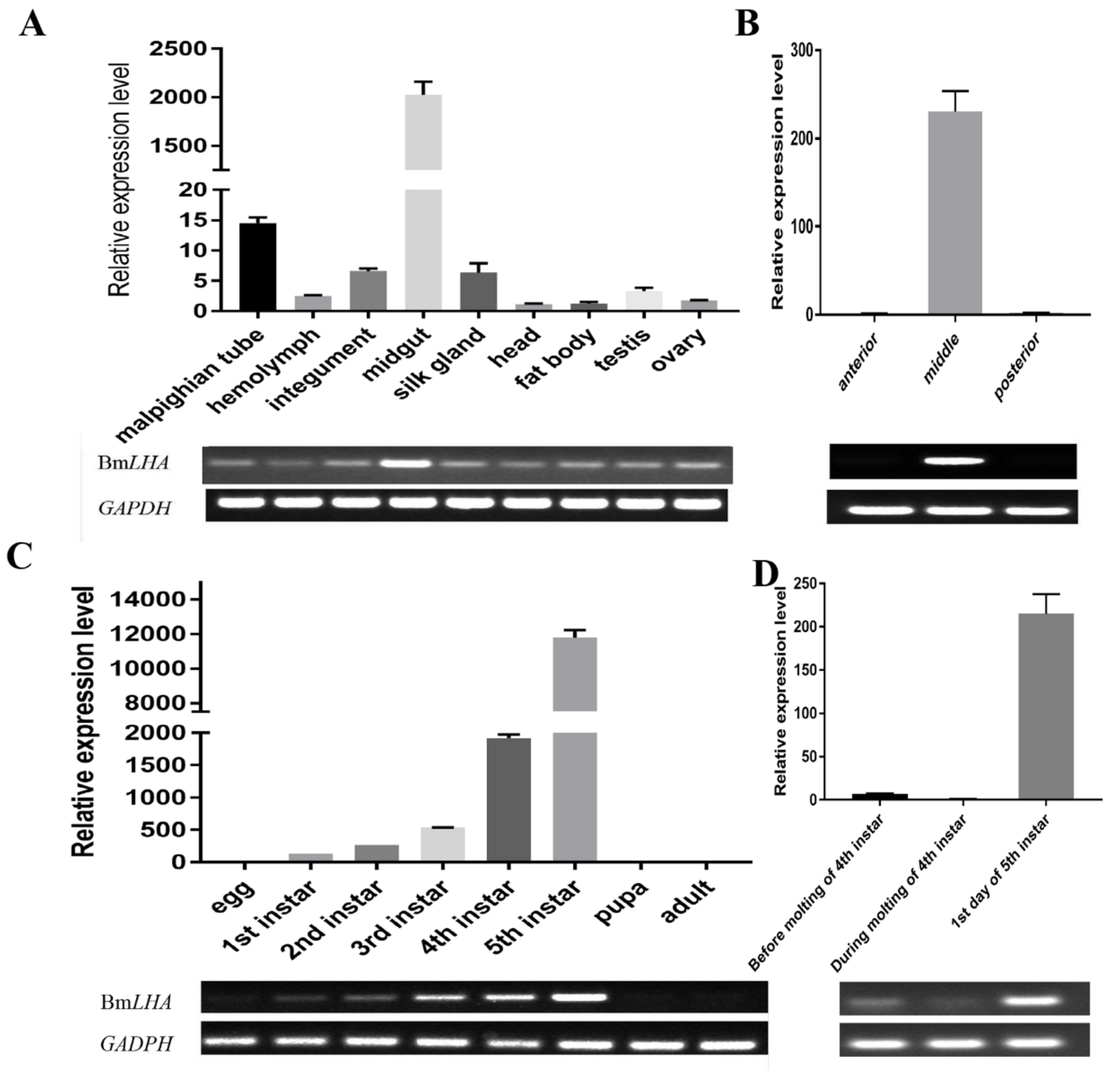 Insects 11 00154 g003