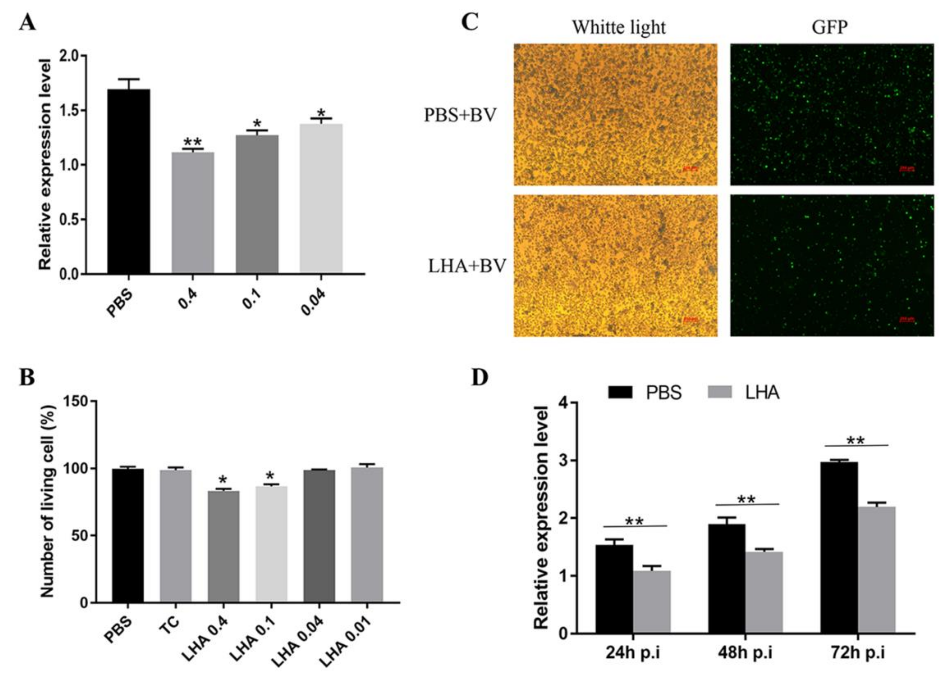 Insects 11 00154 g006