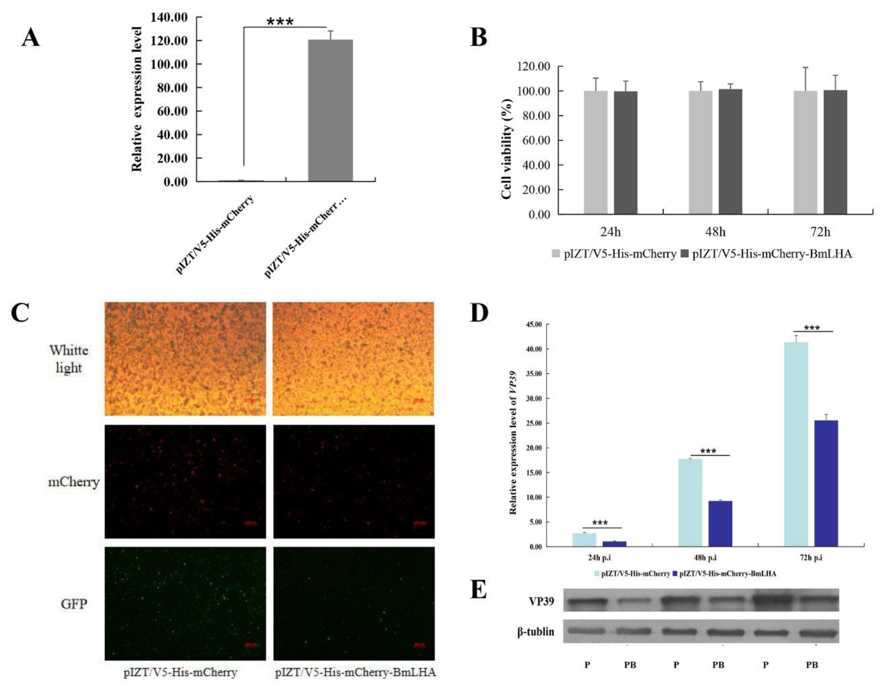 Insects 11 00154 g007