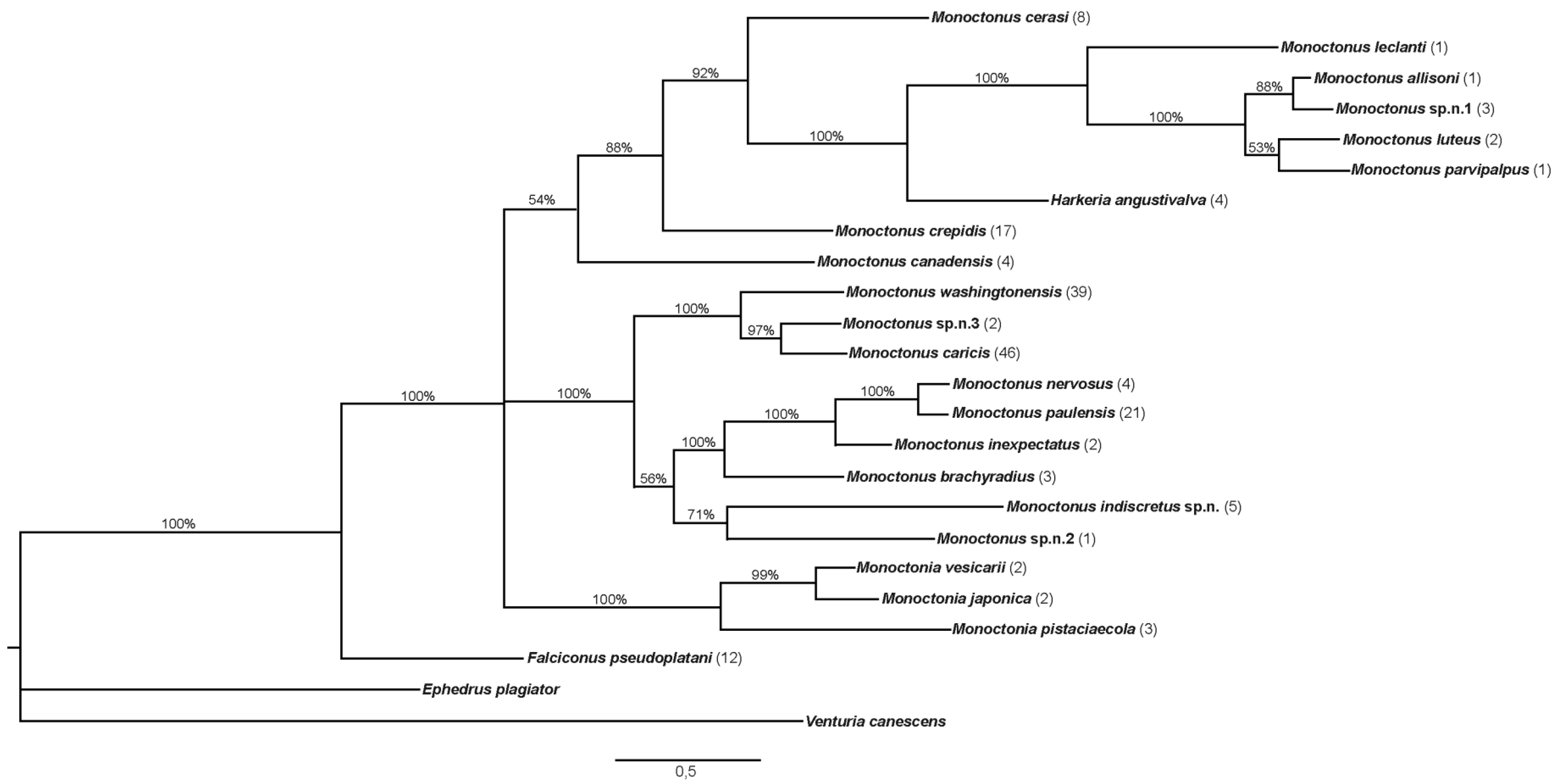 Insects 11 00160 g004 Insects 11 00160 g004
