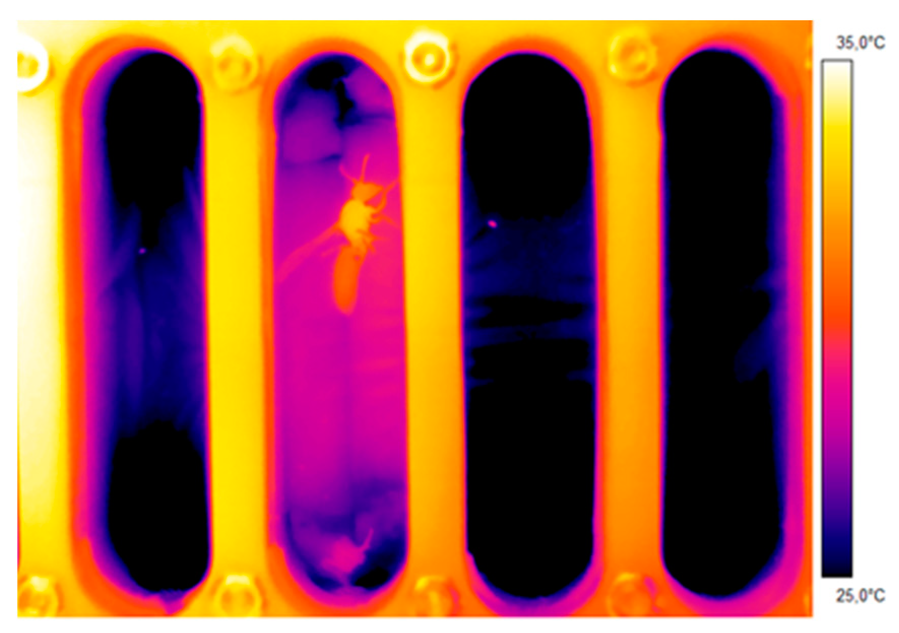 Insects 11 00165 g002